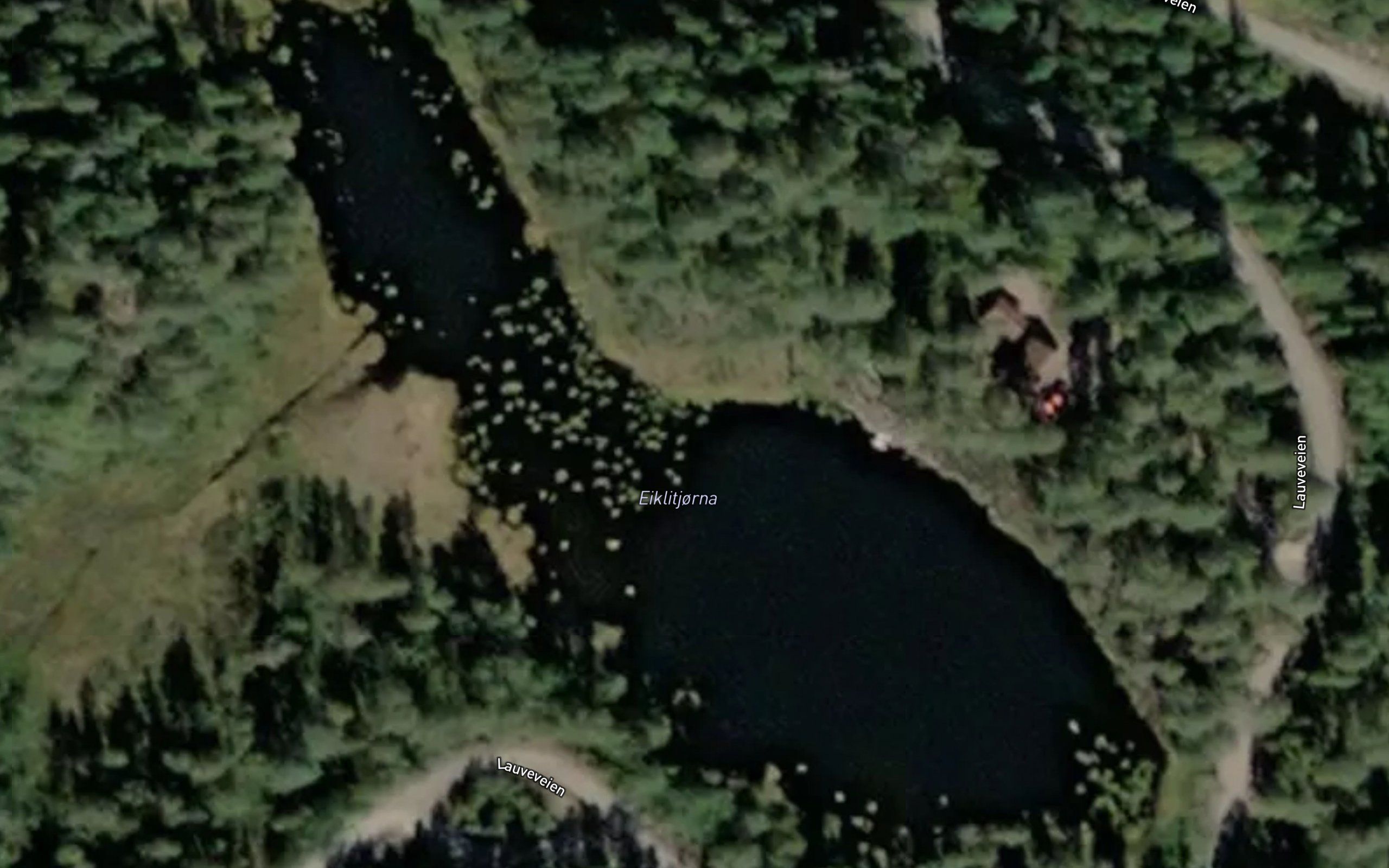 Eiklitjorna