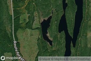 Lac Epizootie