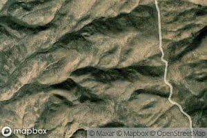 Dyne Spring