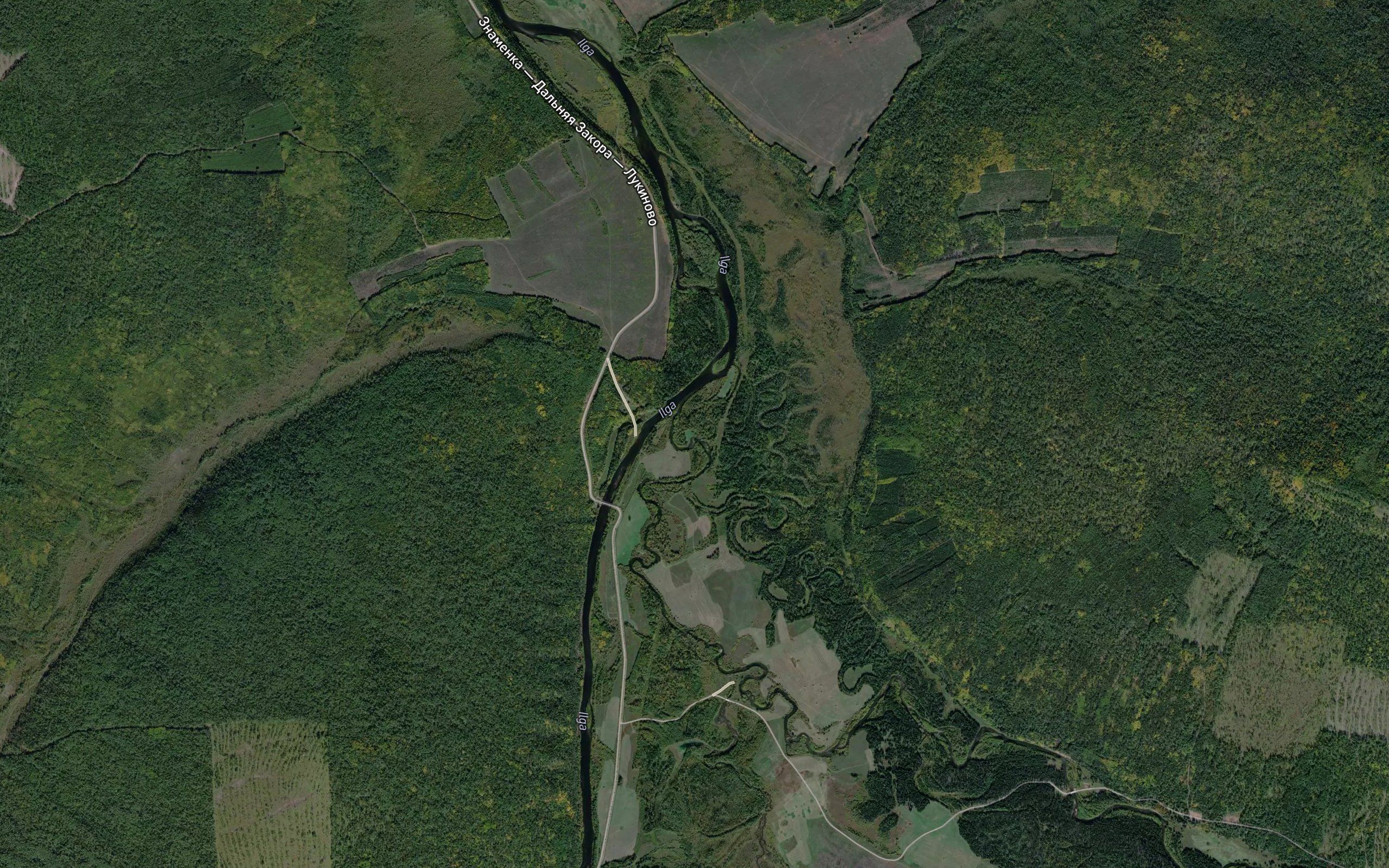 Ivda