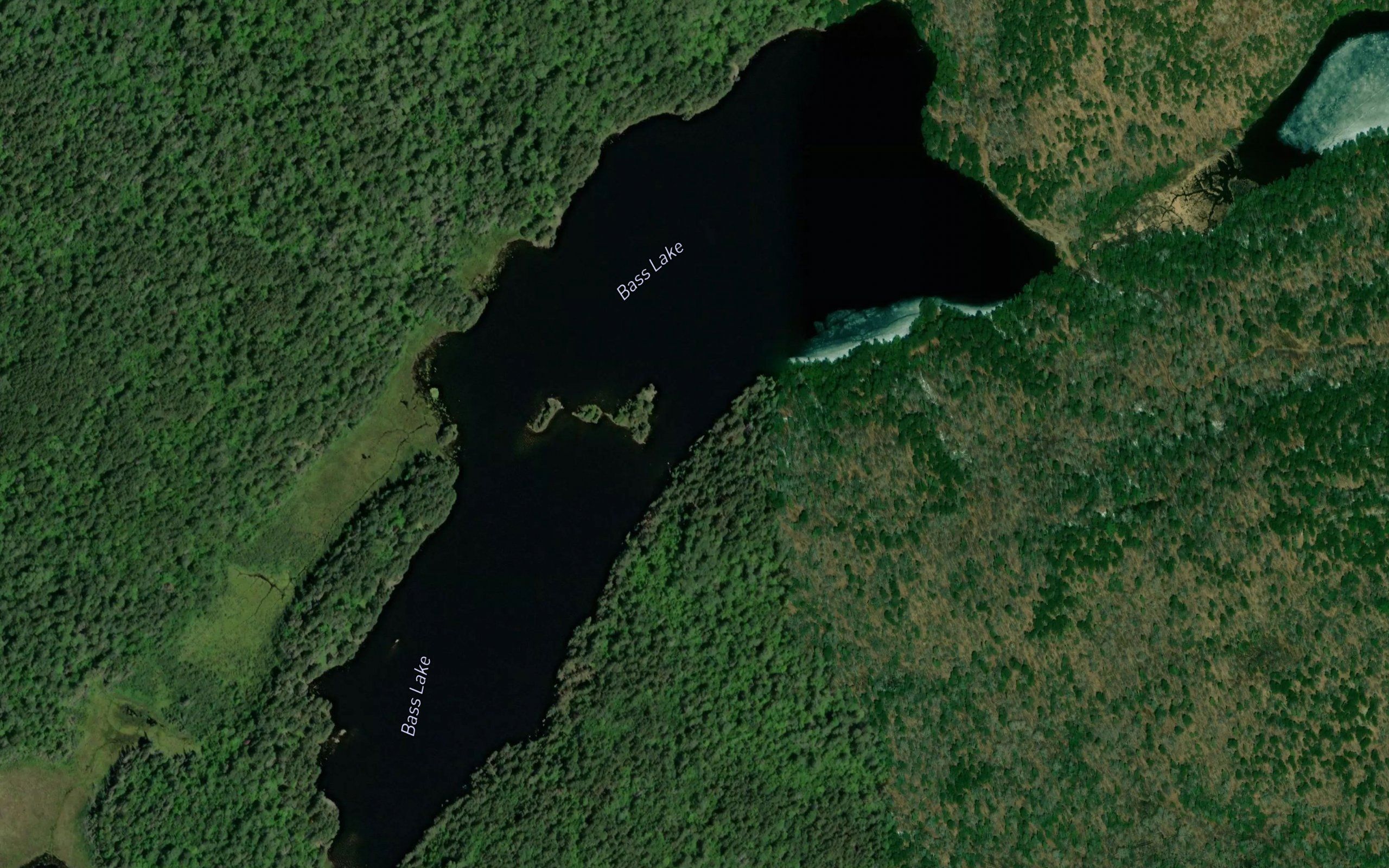 Bass Lake