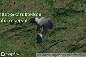 Vargkjefttjorna