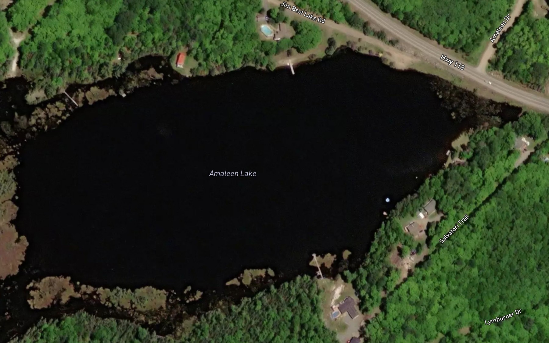 Satellite map of the Amaleen Lake