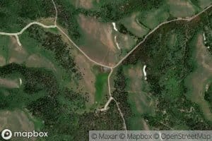 Bug Lake