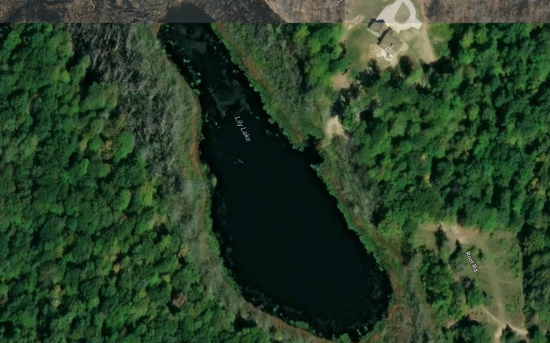 Satellite map of the Lily Lake