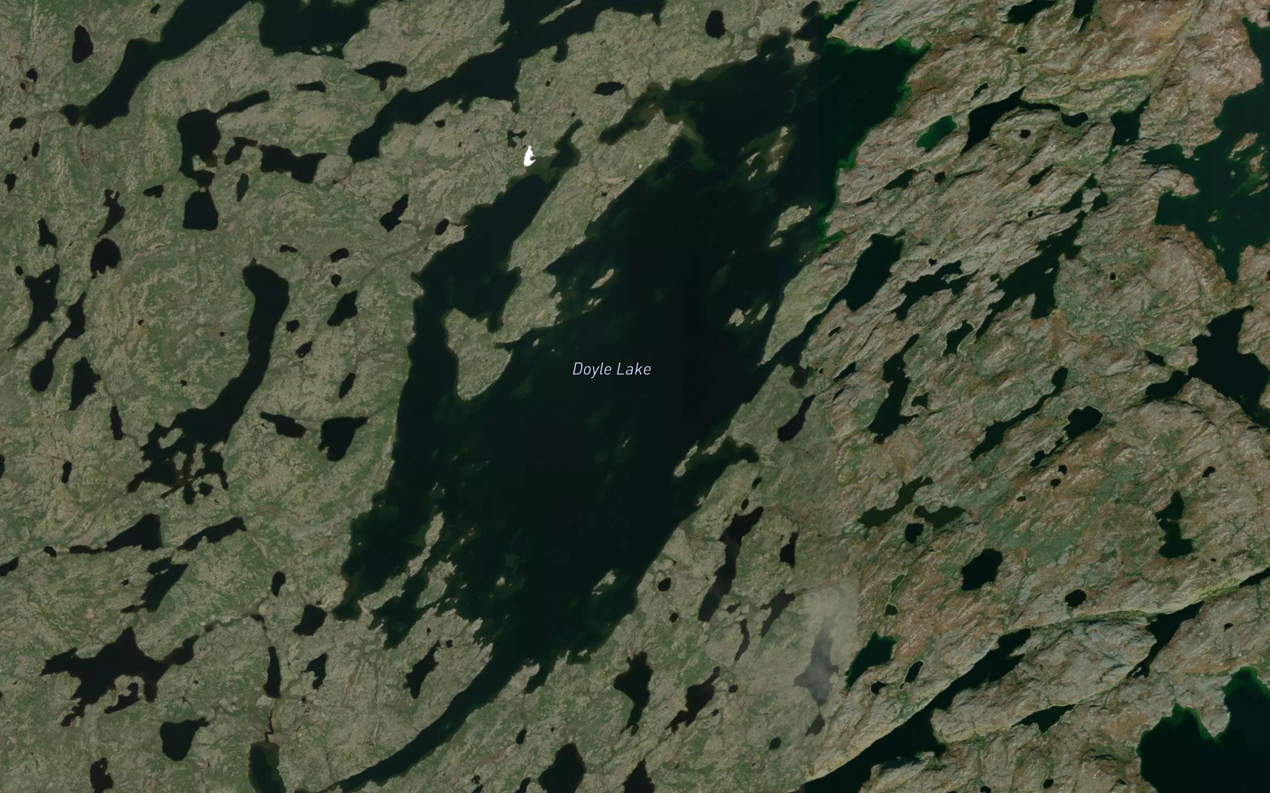 Doyle Lake