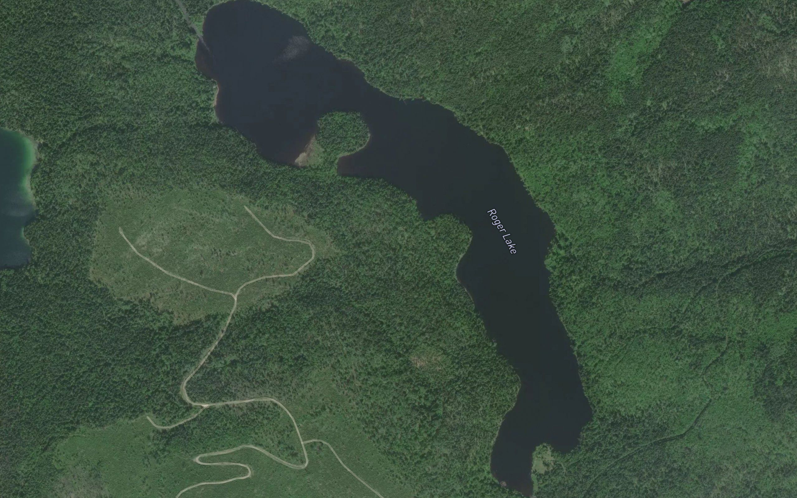 Roger Lake