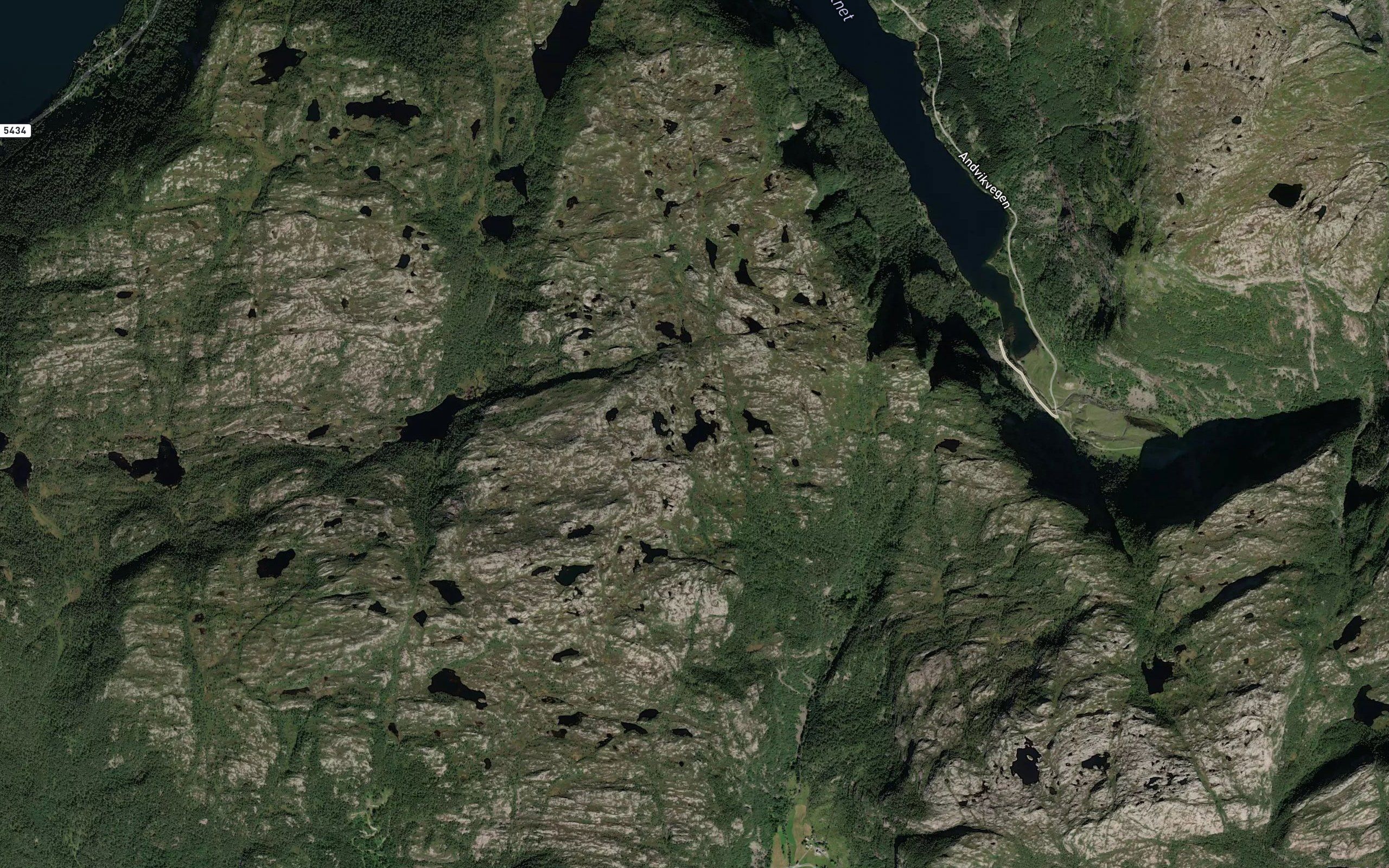 Bathaugtjorna