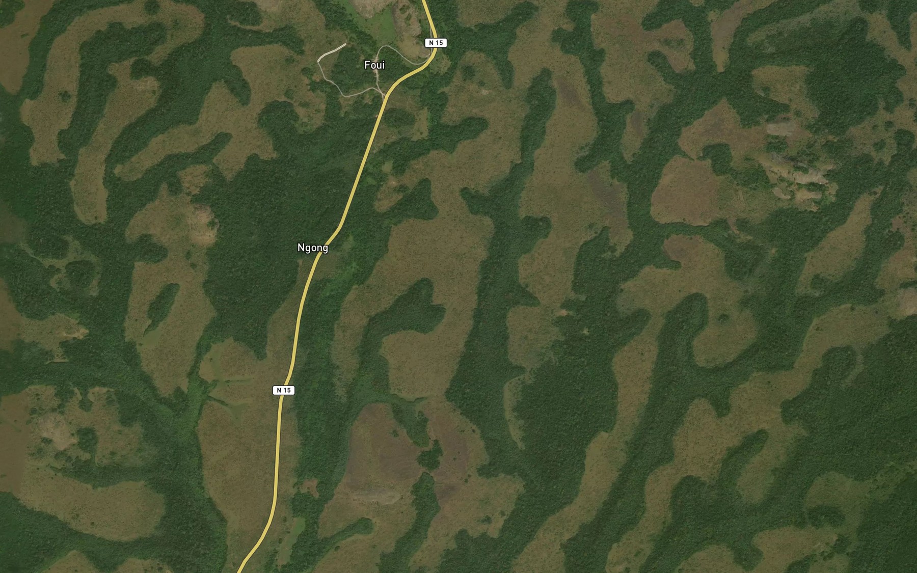 Satellite map of the Dja