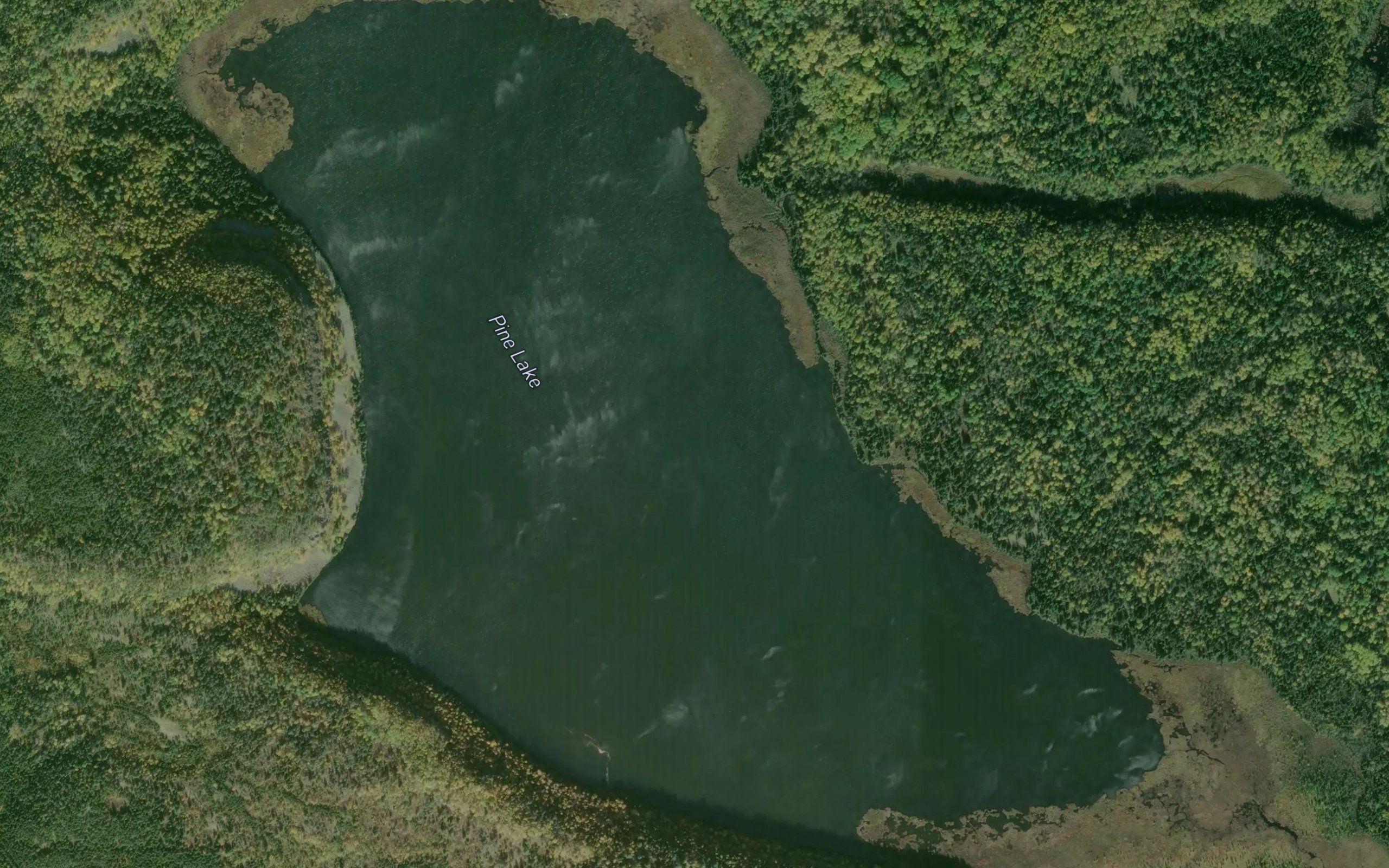 Pine Lake