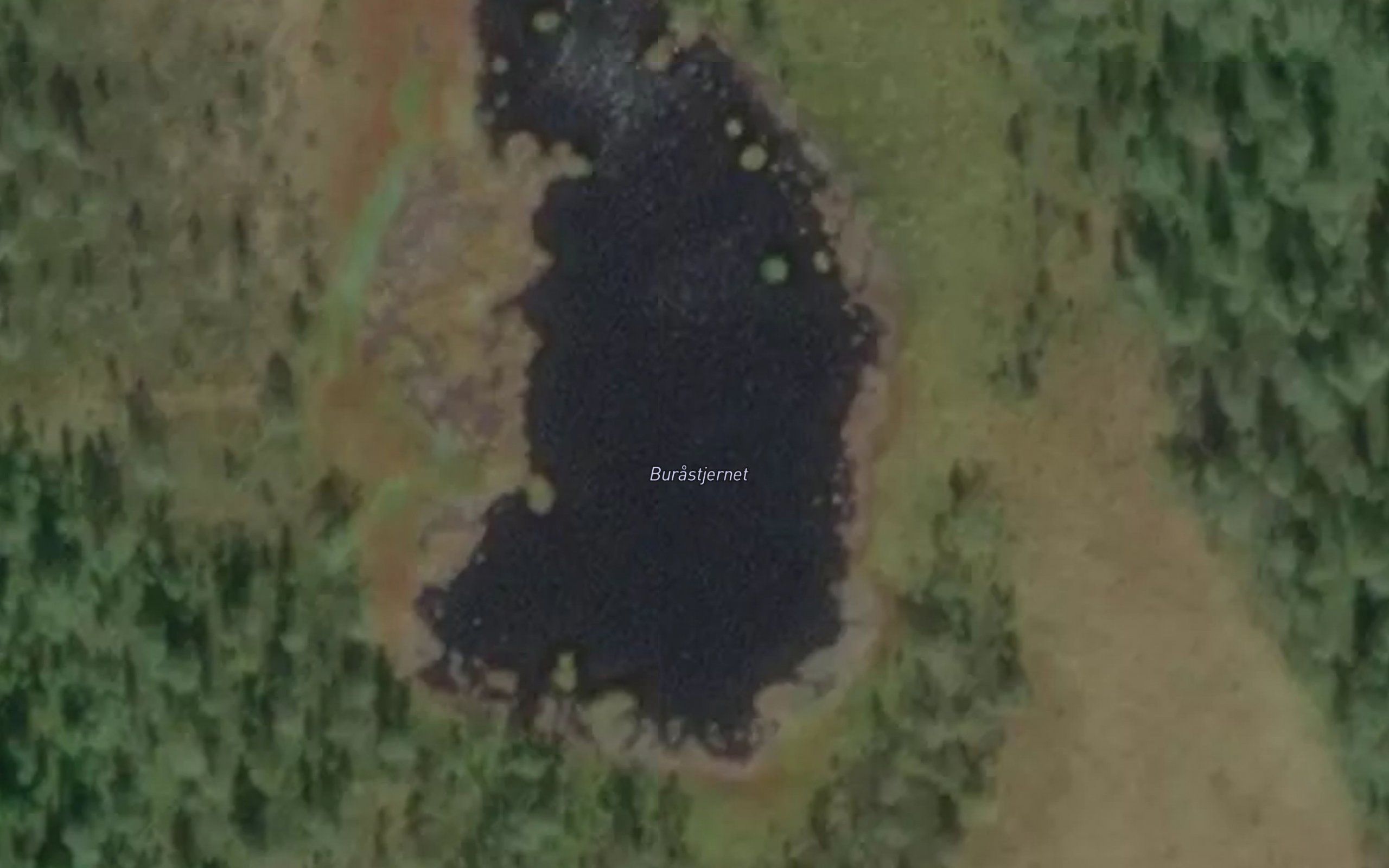 Burastjernet