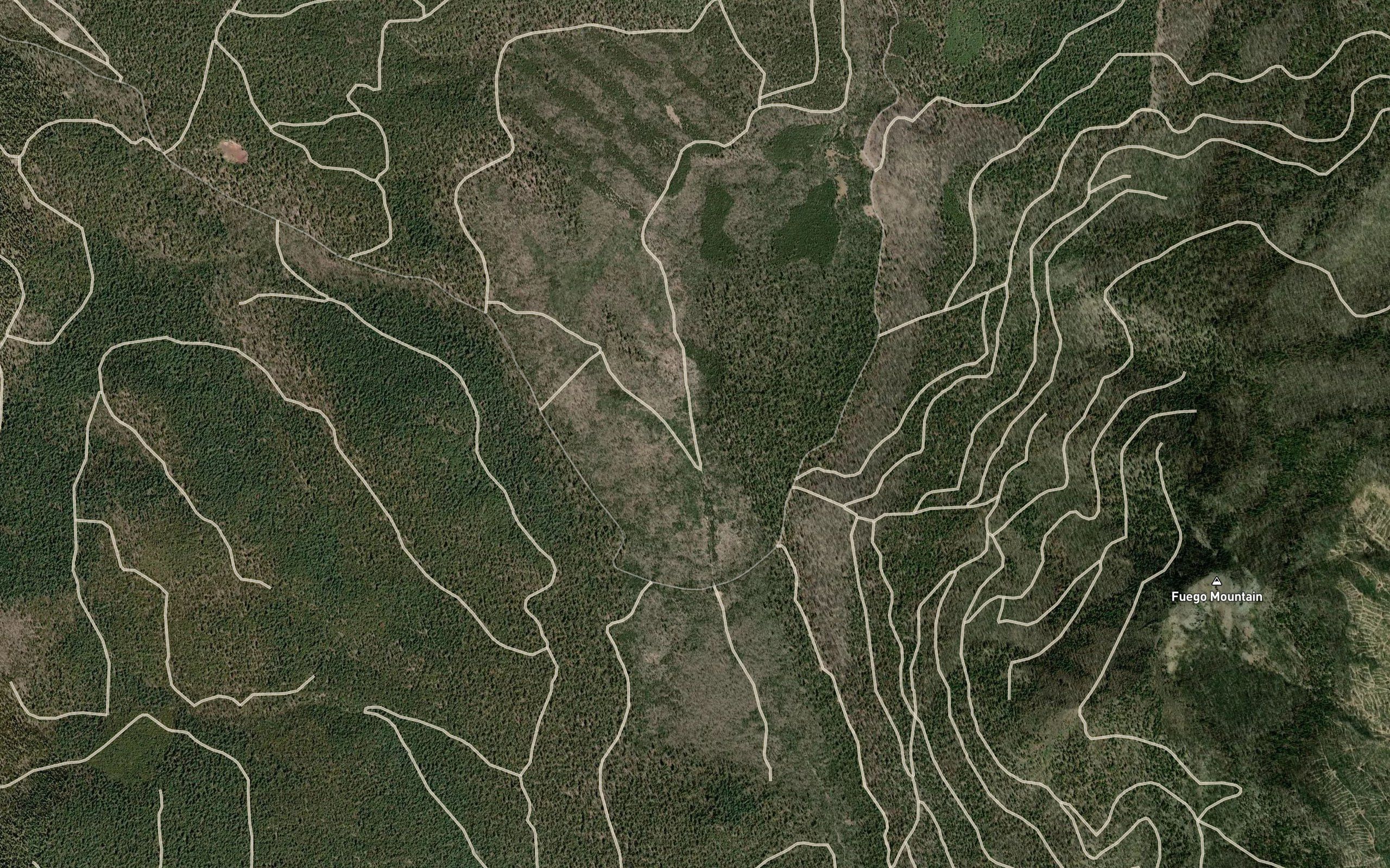 Airstrip Pond