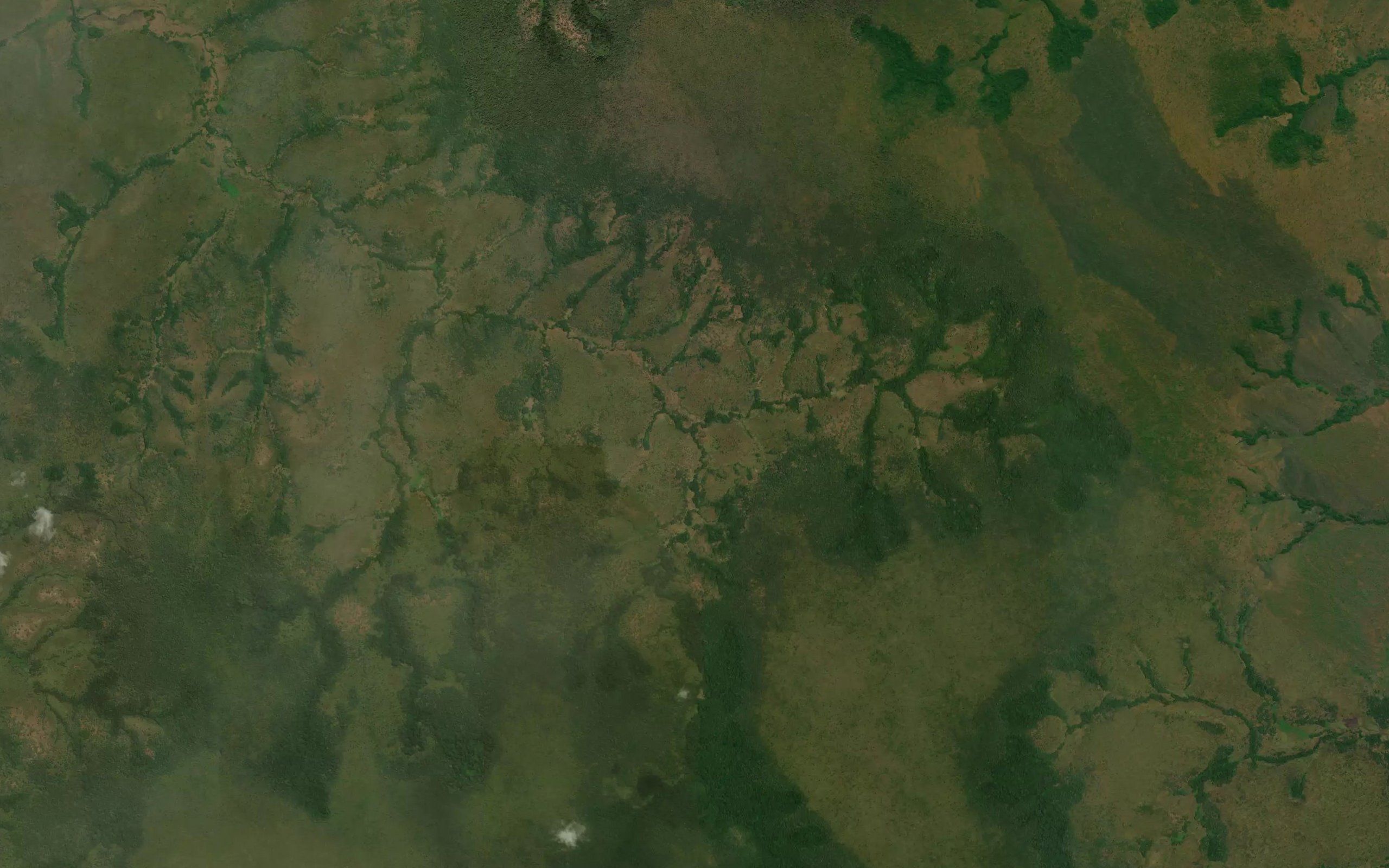 Mutota
