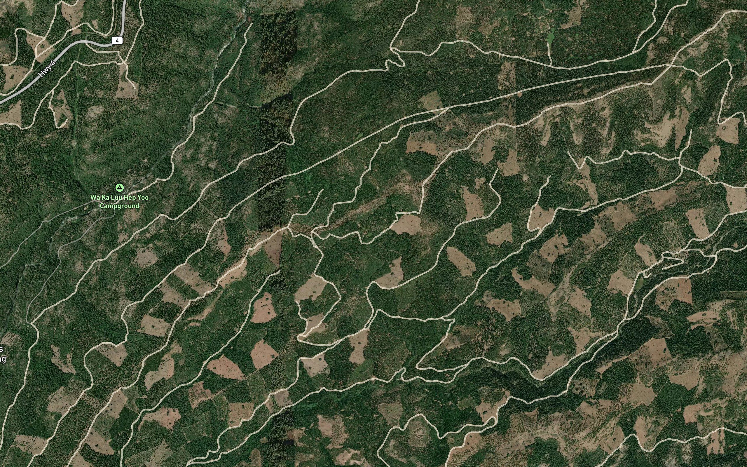 Burnt Corral Spring