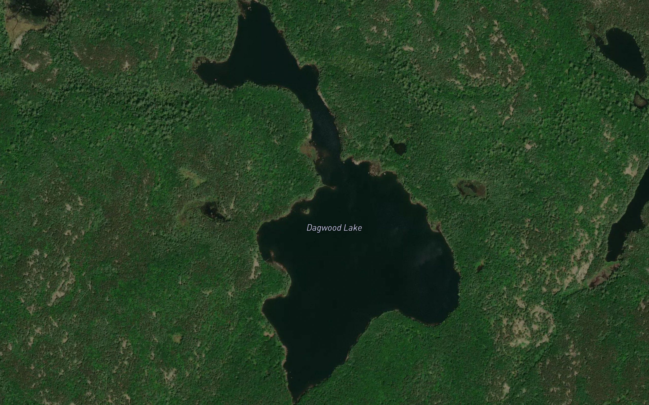 Dagwood Lake