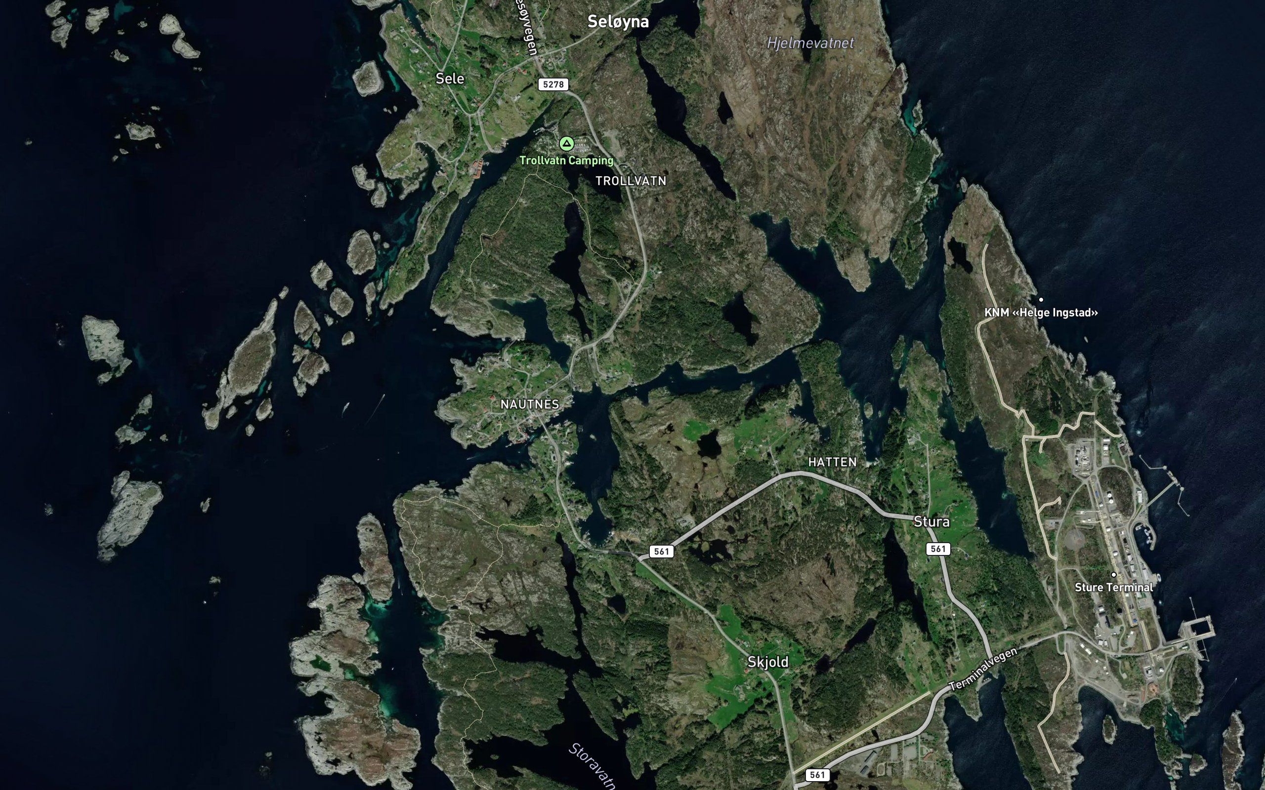 Stekkevika