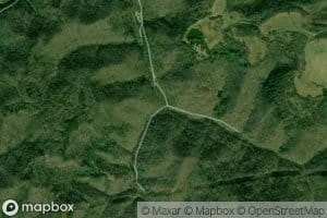 Laurel Fork
