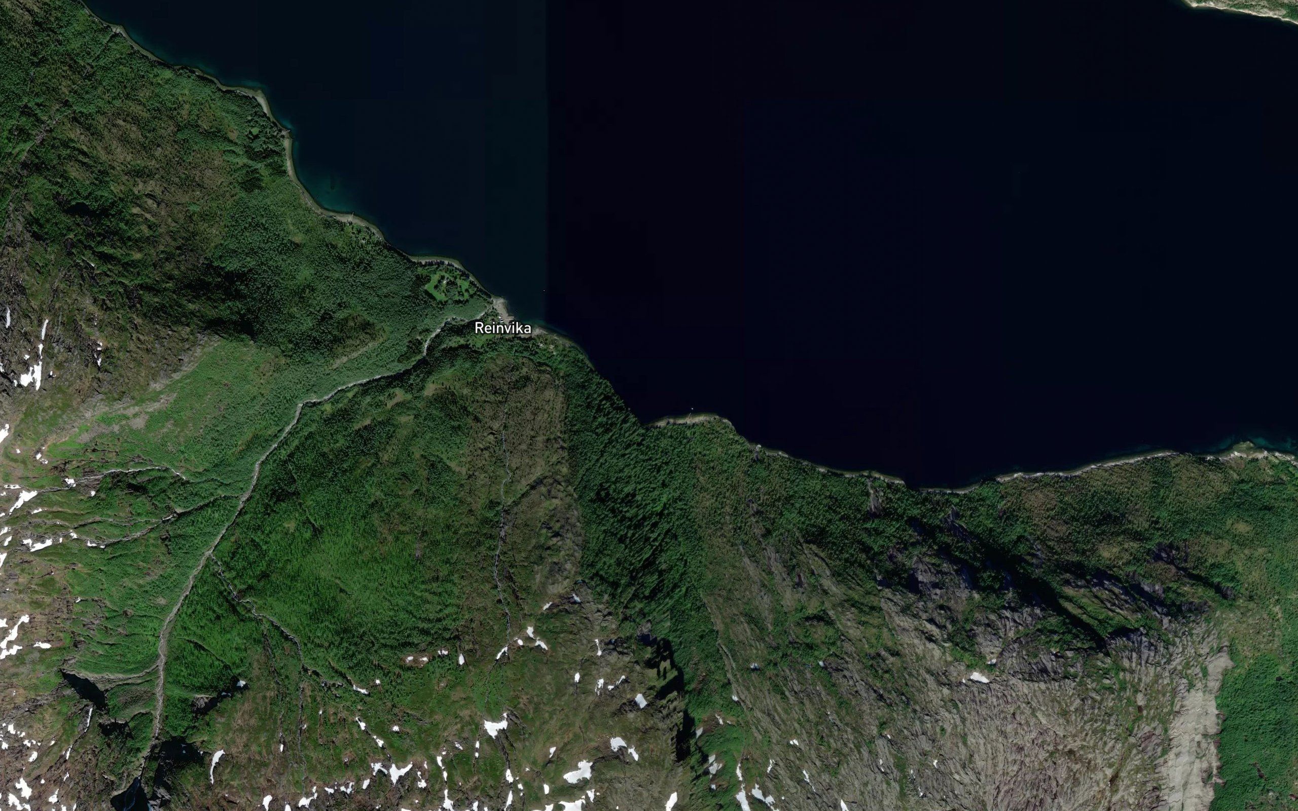 Reinvika,l