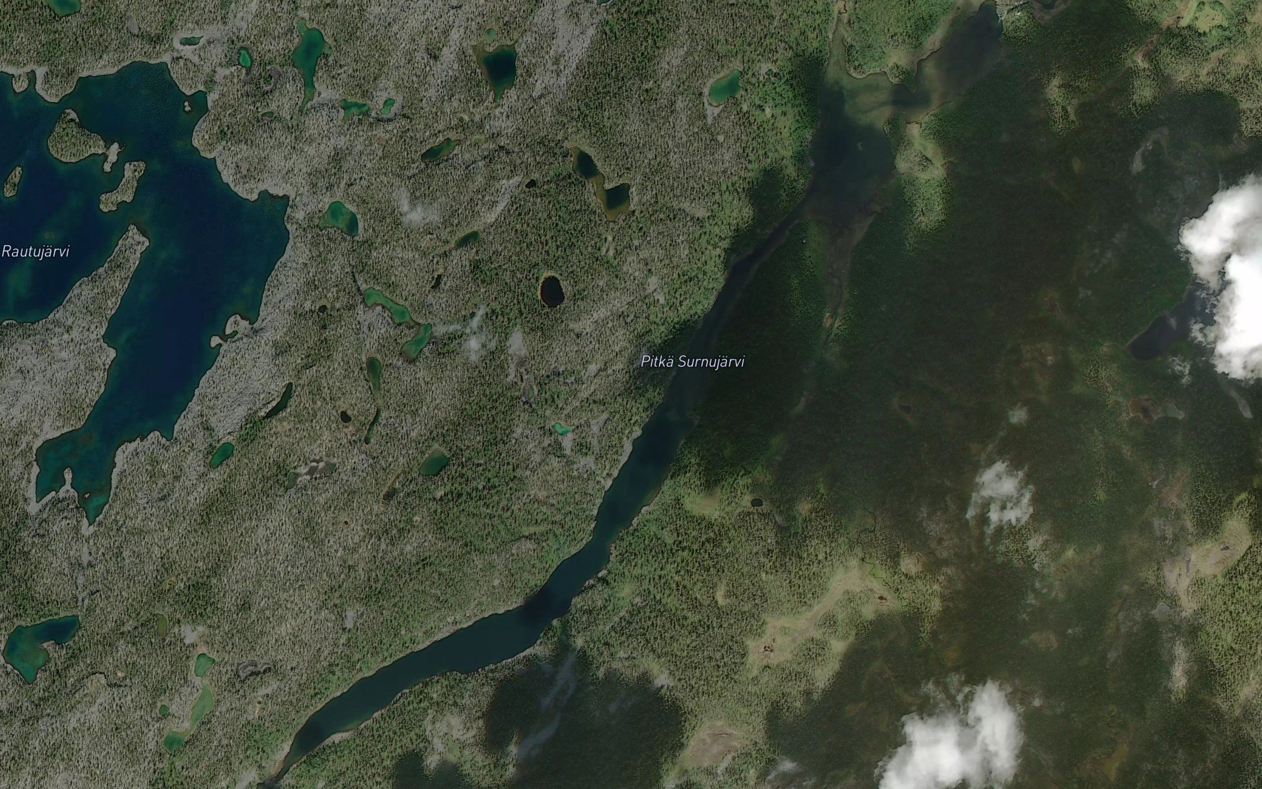 Joulukotaoja
