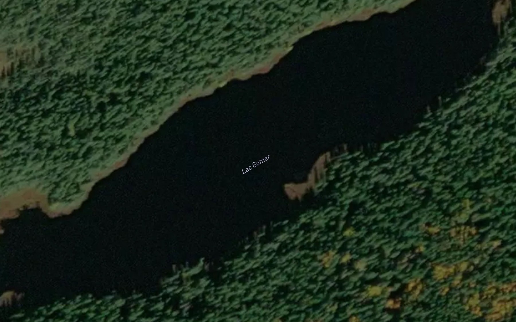 Satellite map of the Lac Gomer