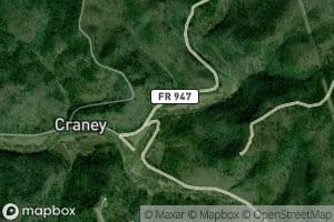 Cross Branch