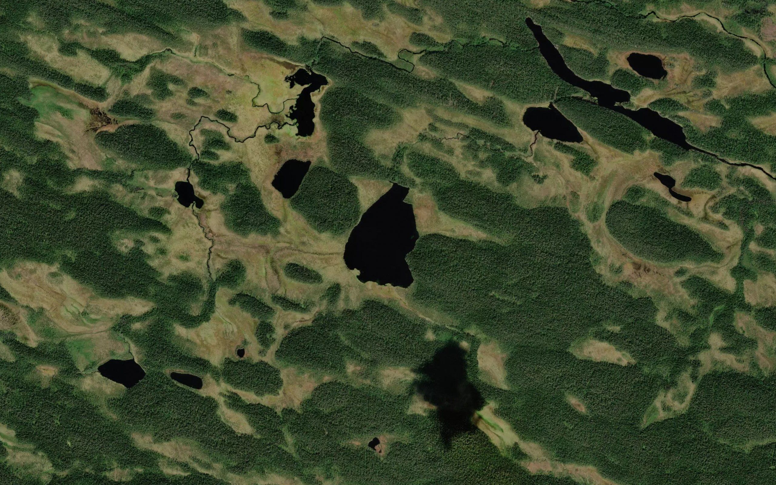 Ozero Gvina Lambi
