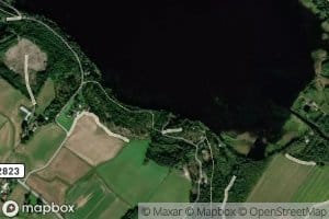 Litinoja