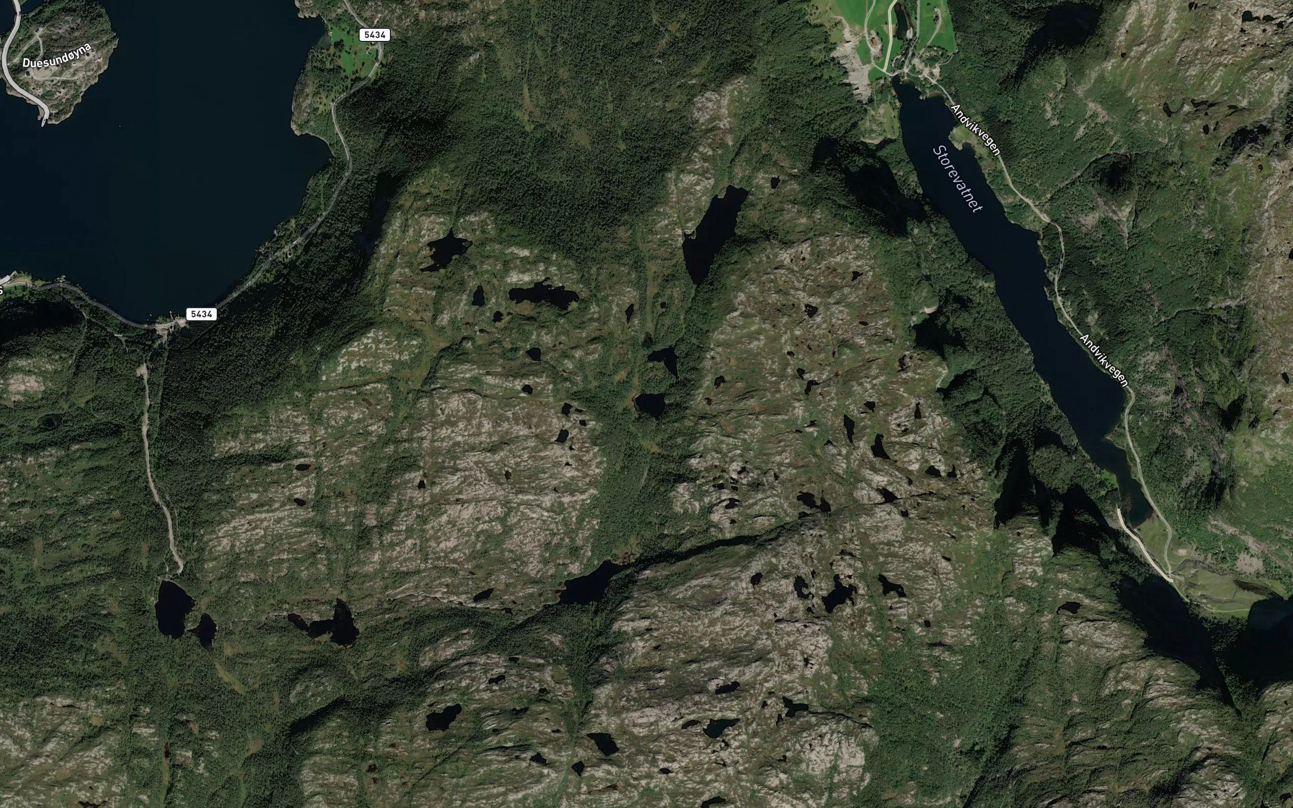 Sore Svartebotstjorna