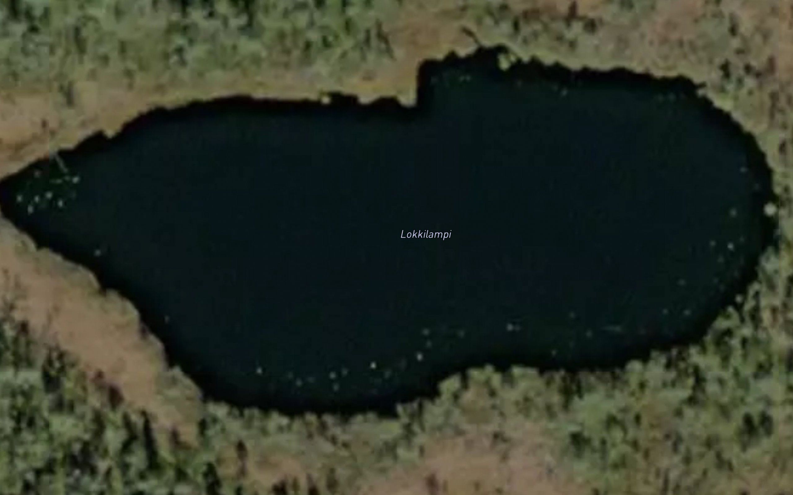 Lokkilampi