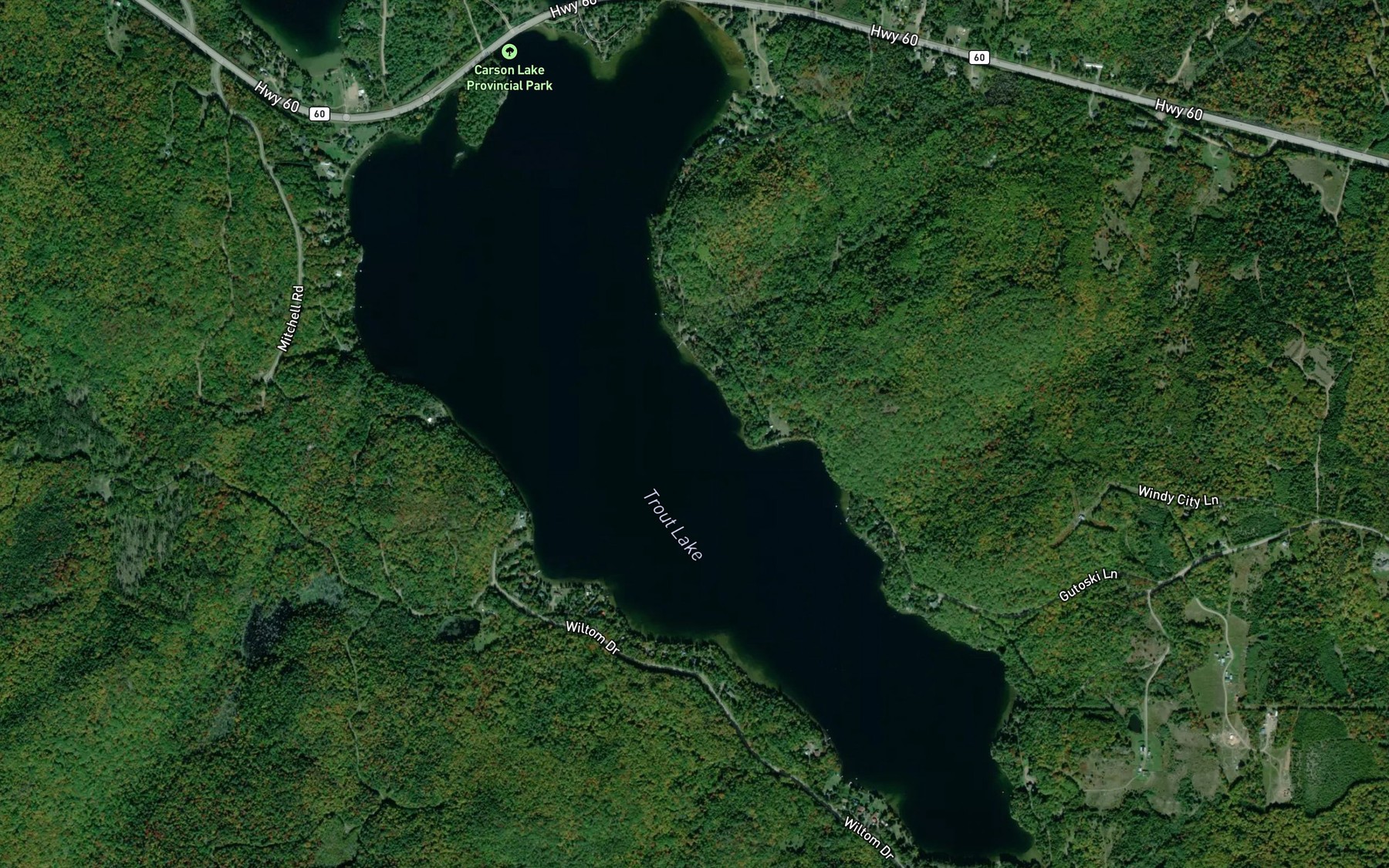 Satellite map of the Trout Lake