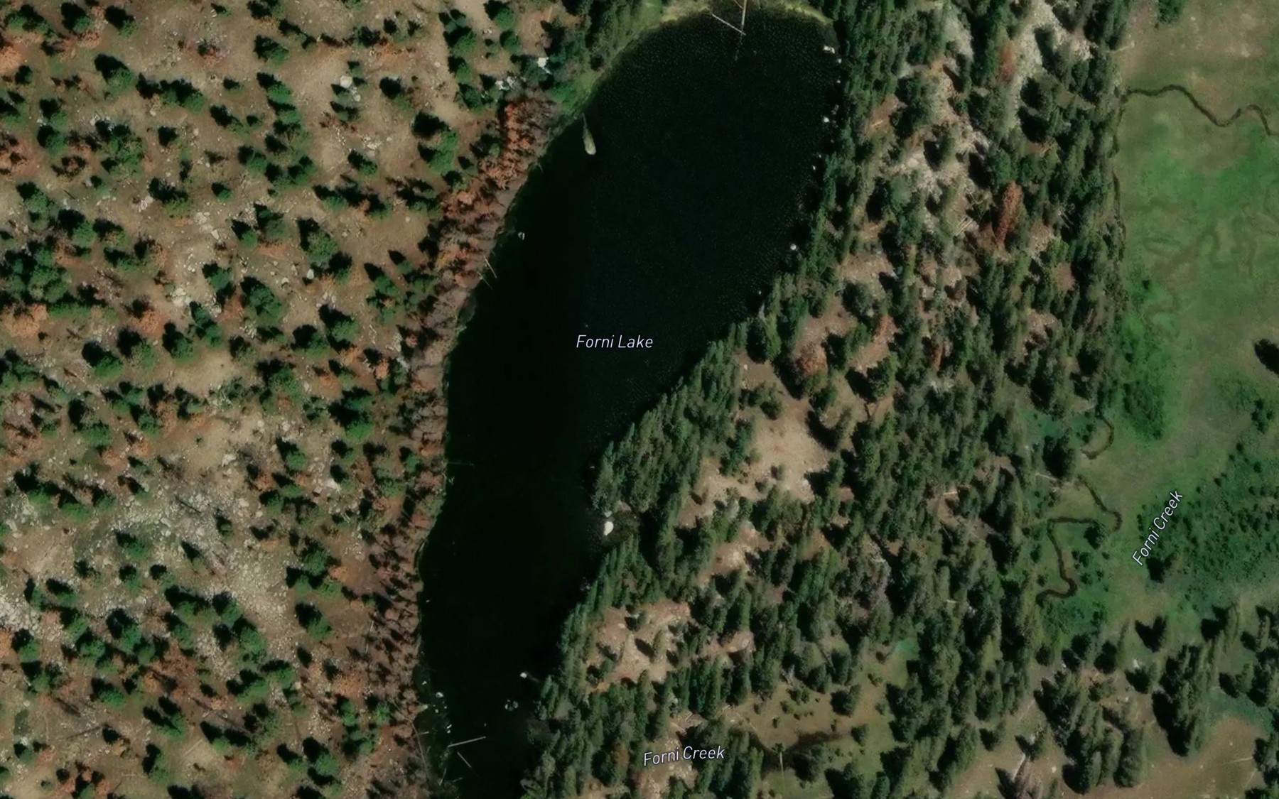 Satellite map of the Forni Lake