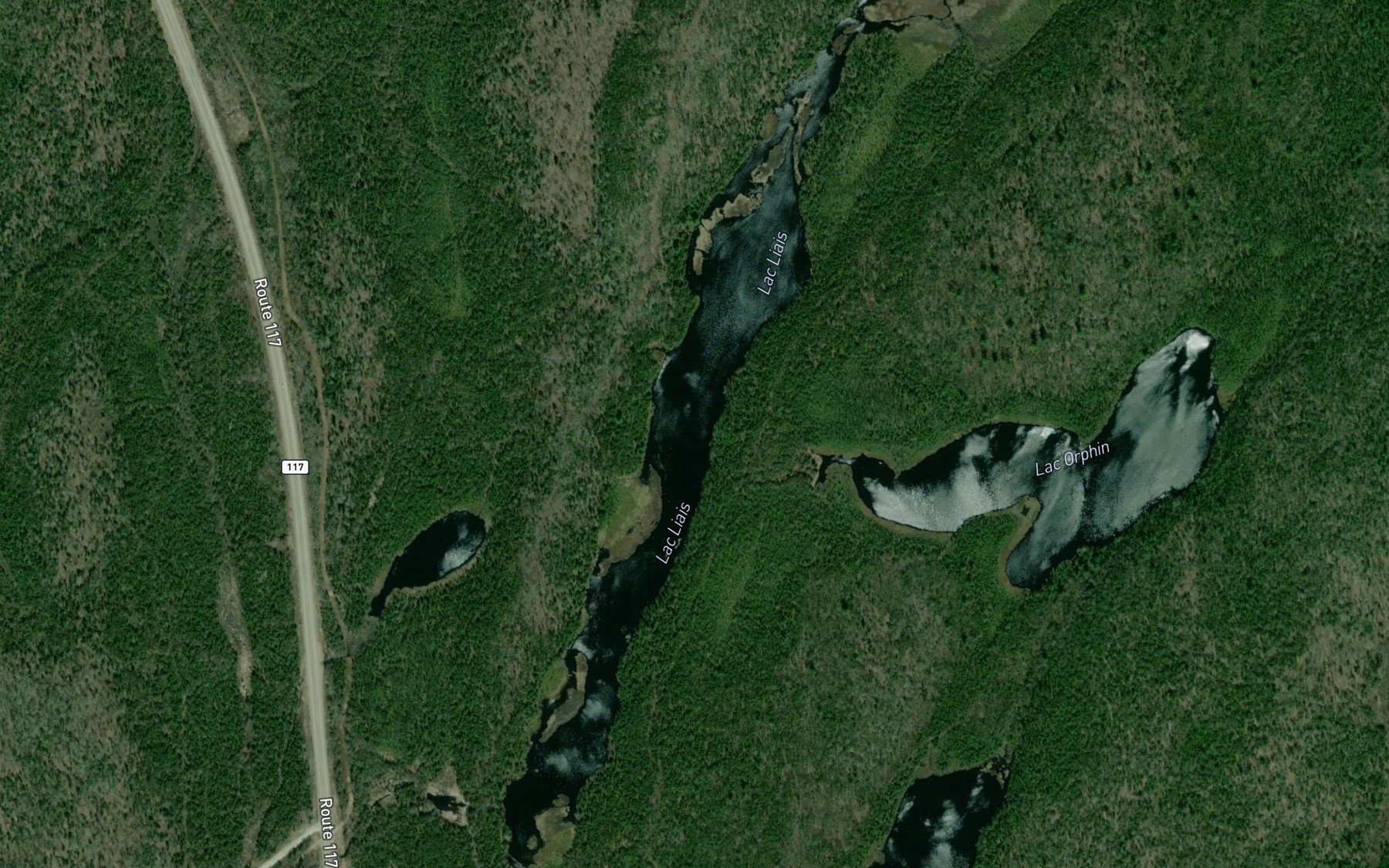 Satellite map of the Lac Liais