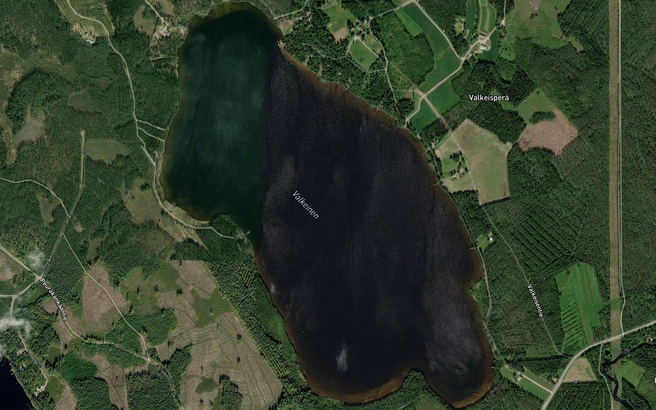 Valkeinen