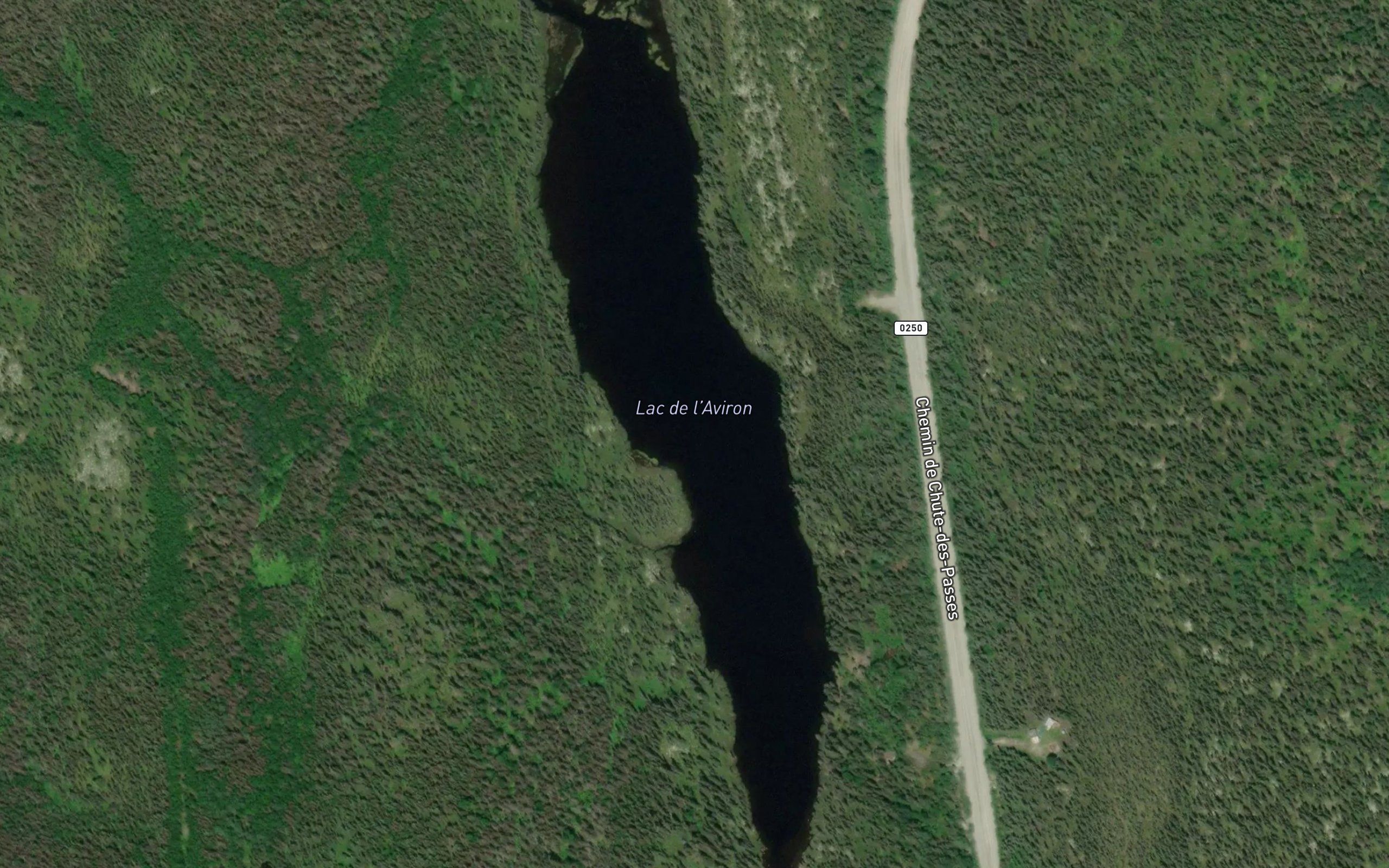 Lac de l'Aviron