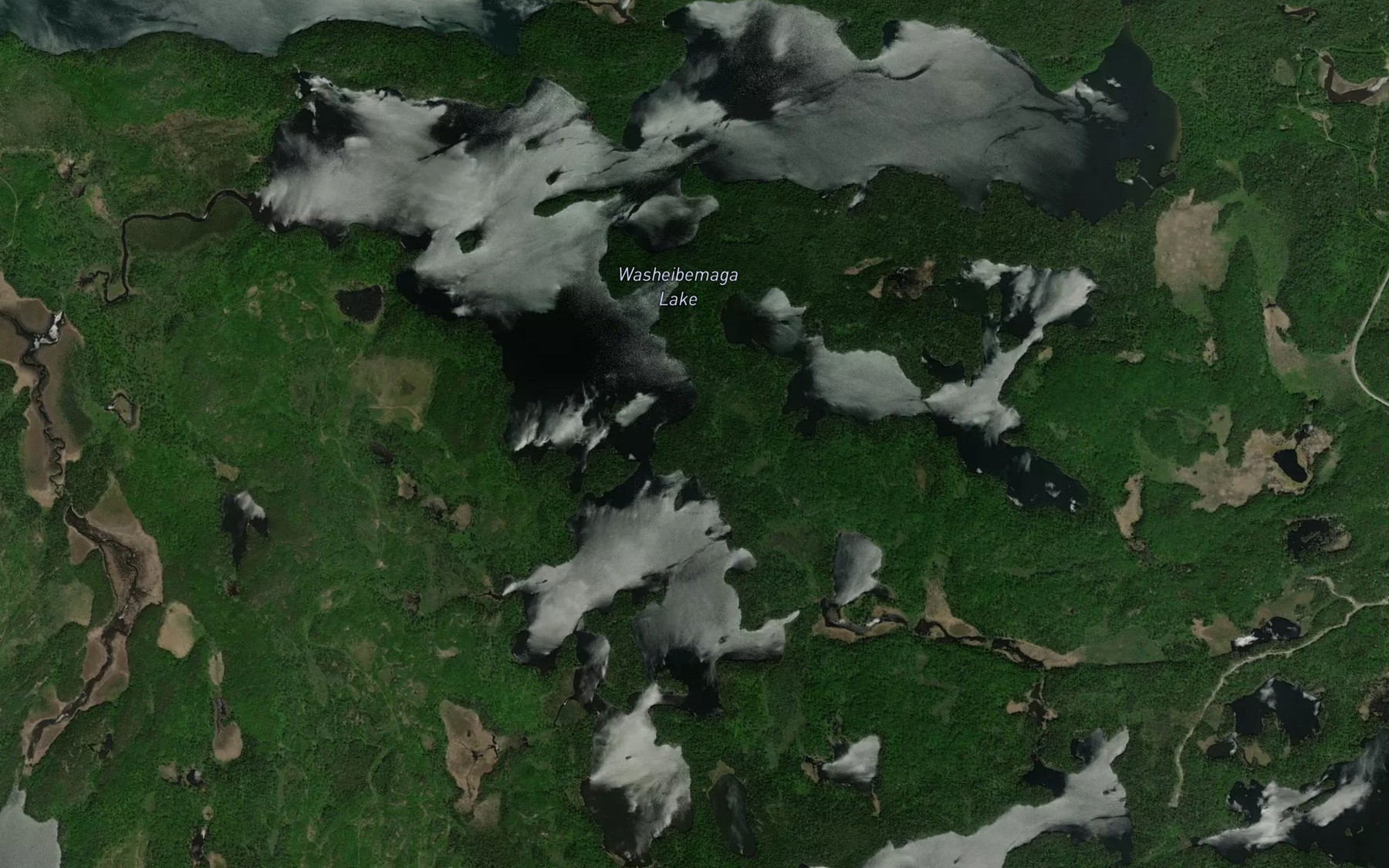 Satellite map of the Washeibemaga Lake