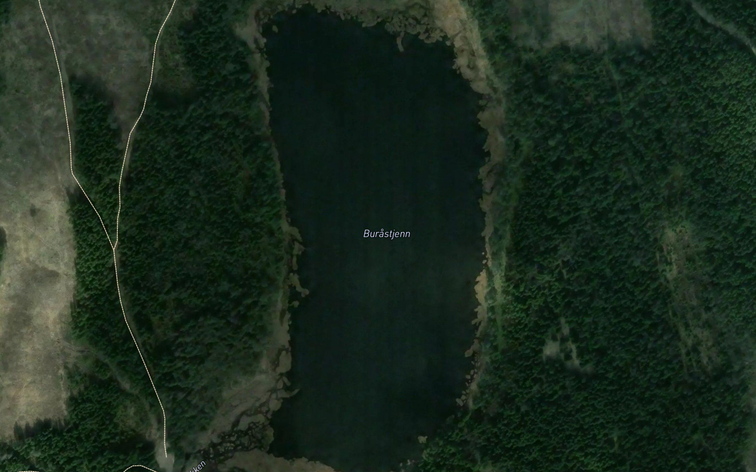 Burastjern