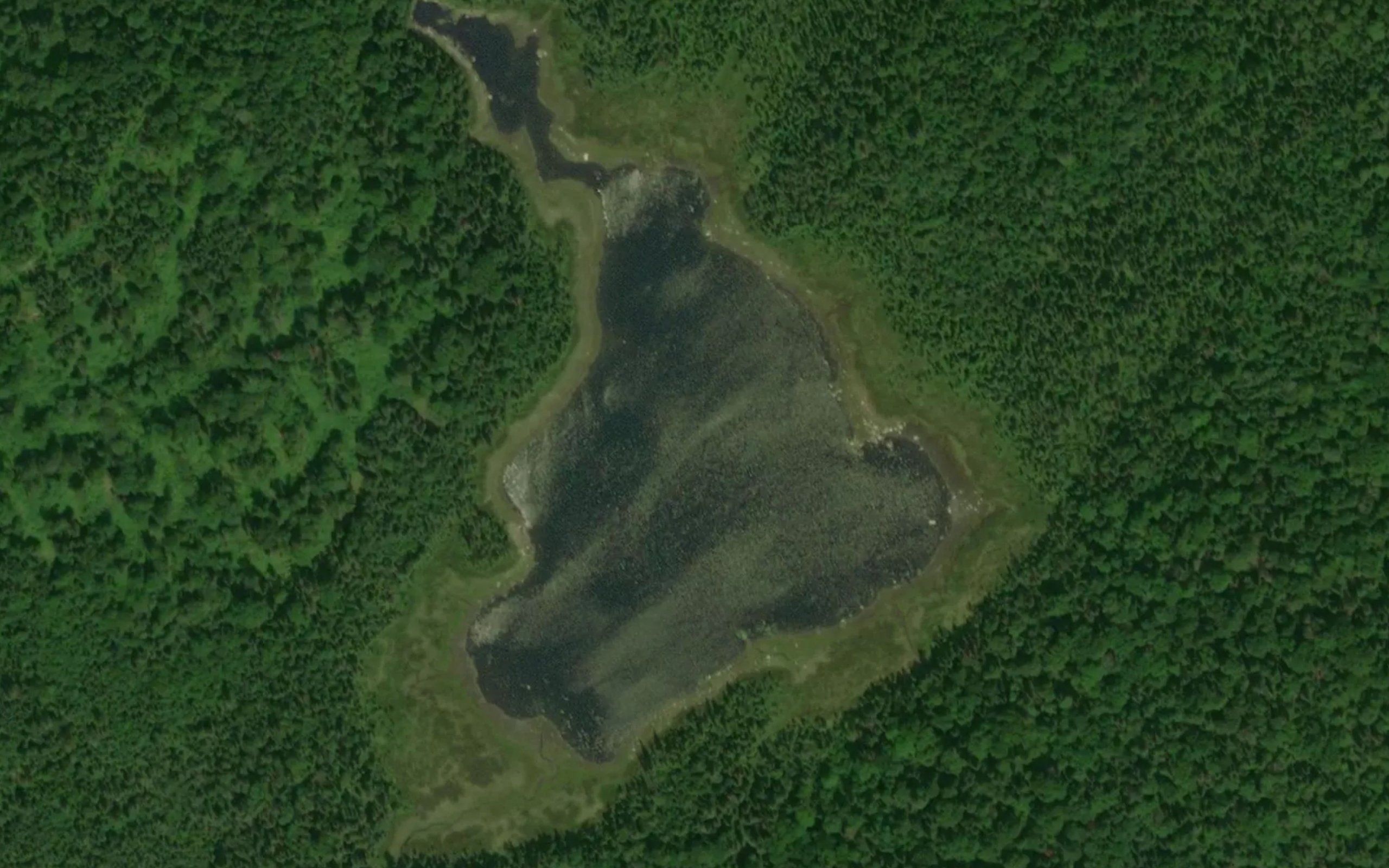Lac Ecorcei