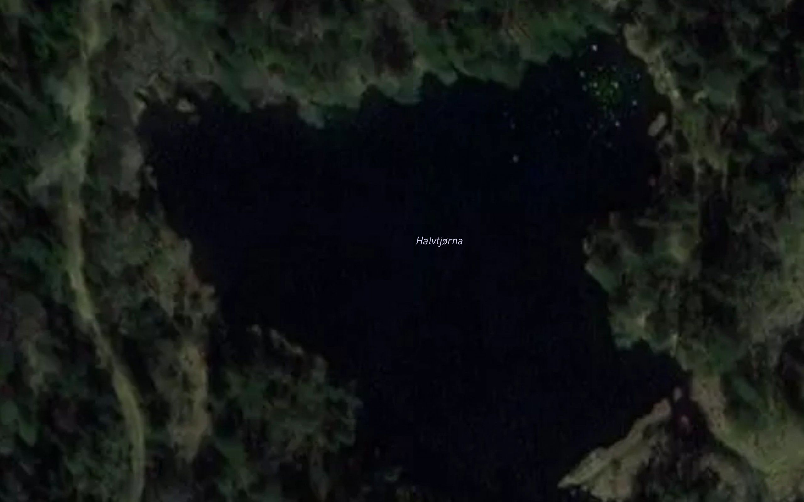 Halvtjorna