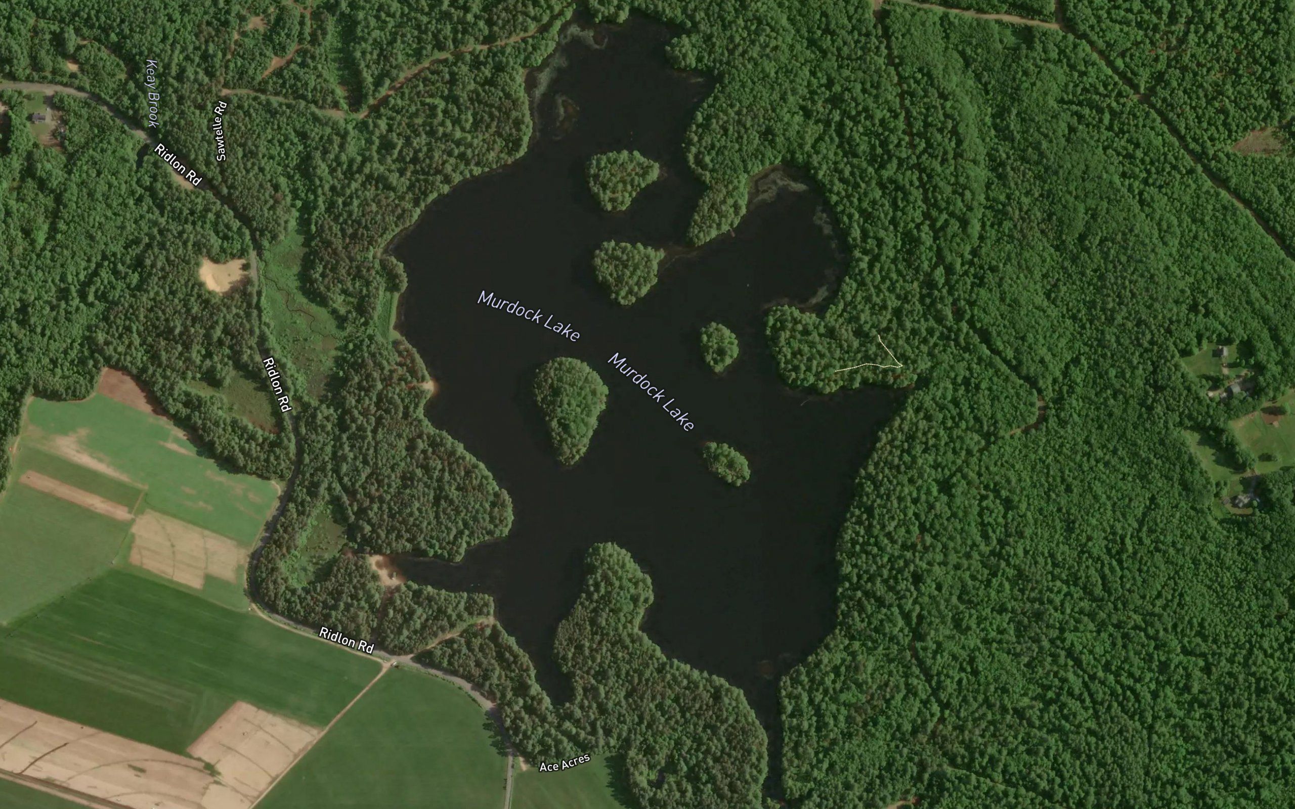 Lake Murdock