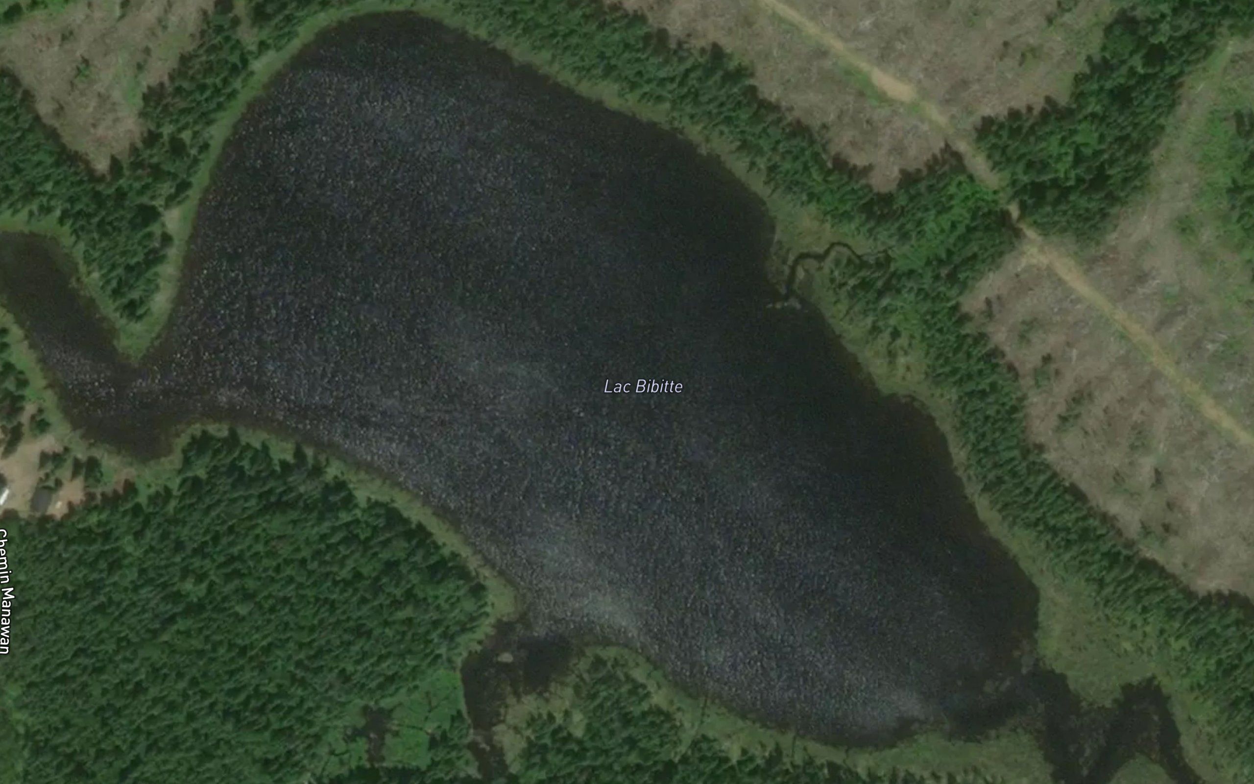 Lac Bibite