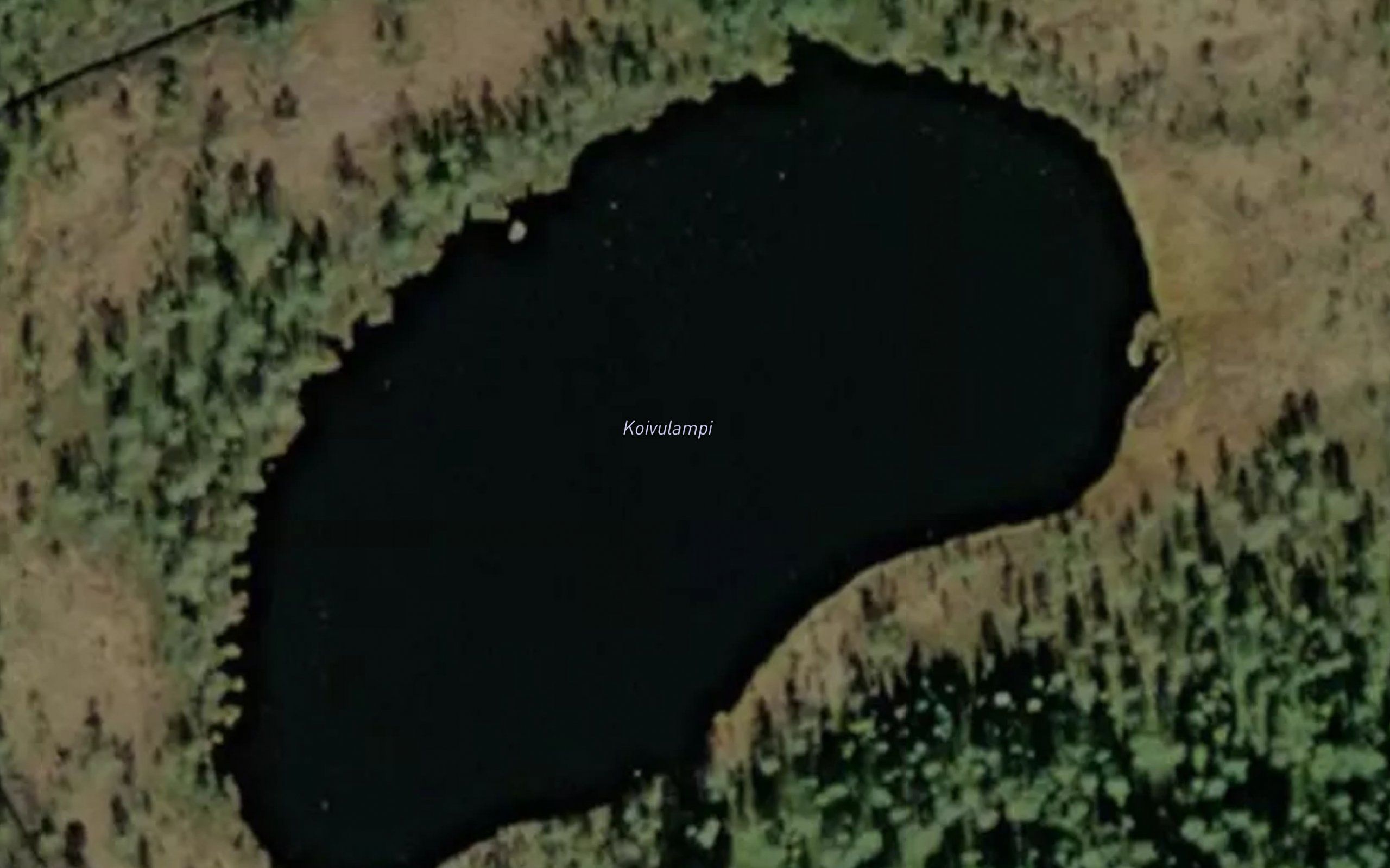 Koivulampi