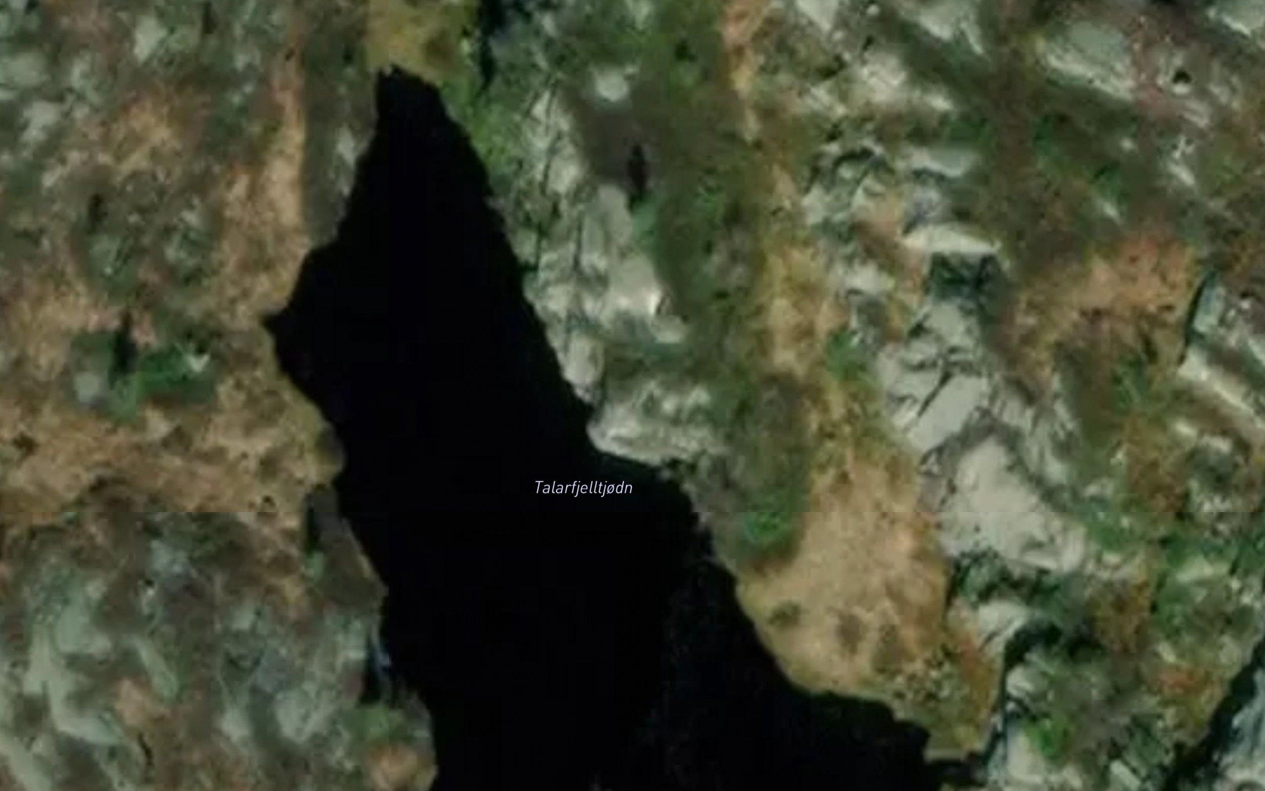 Talarfjelltjodn