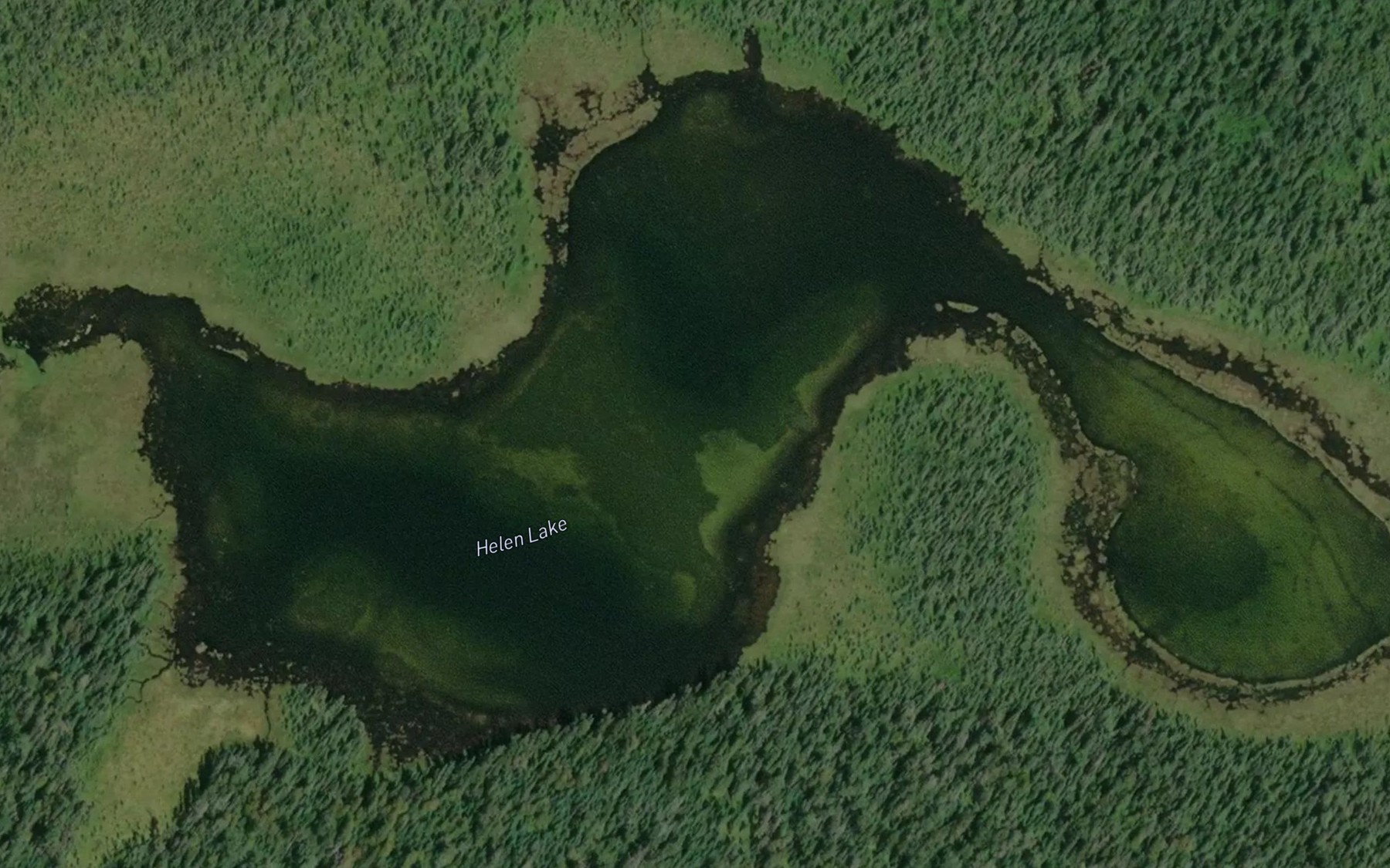 Satellite map of the Helen Lake