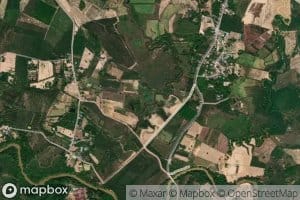 Nong Khlong Phan Phai