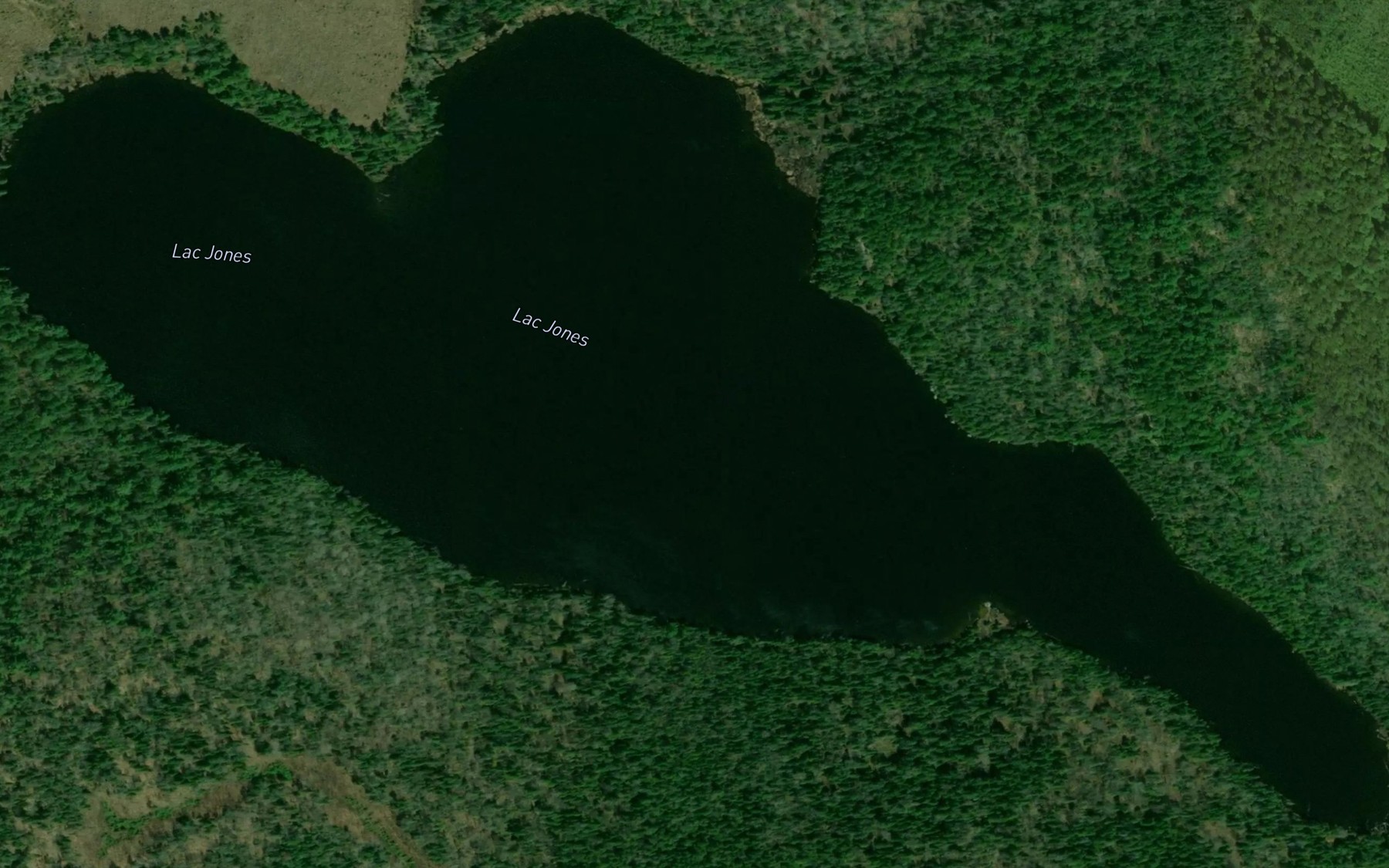 Satellite map of the Lac Jones