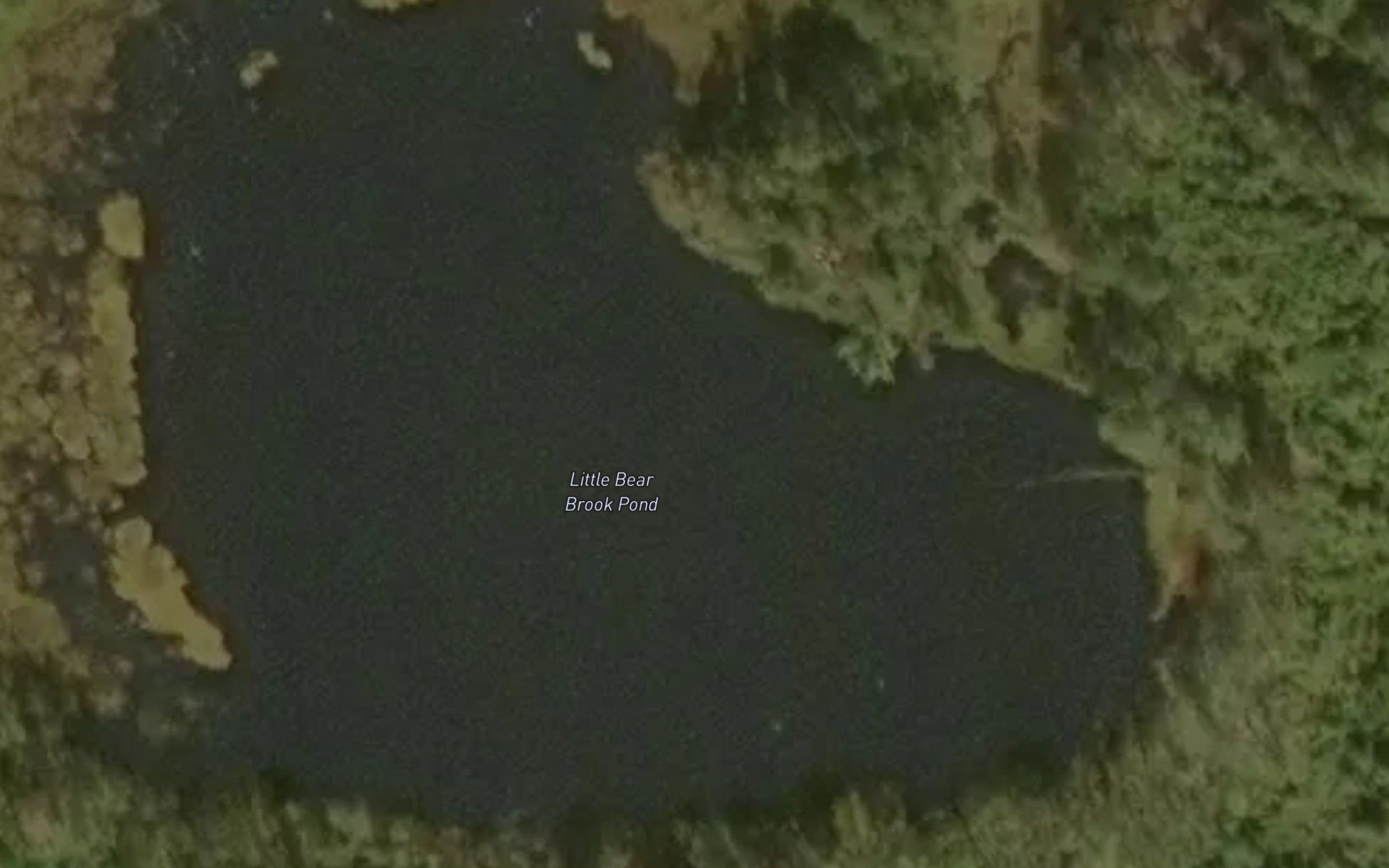 Little Bear Brook Pond