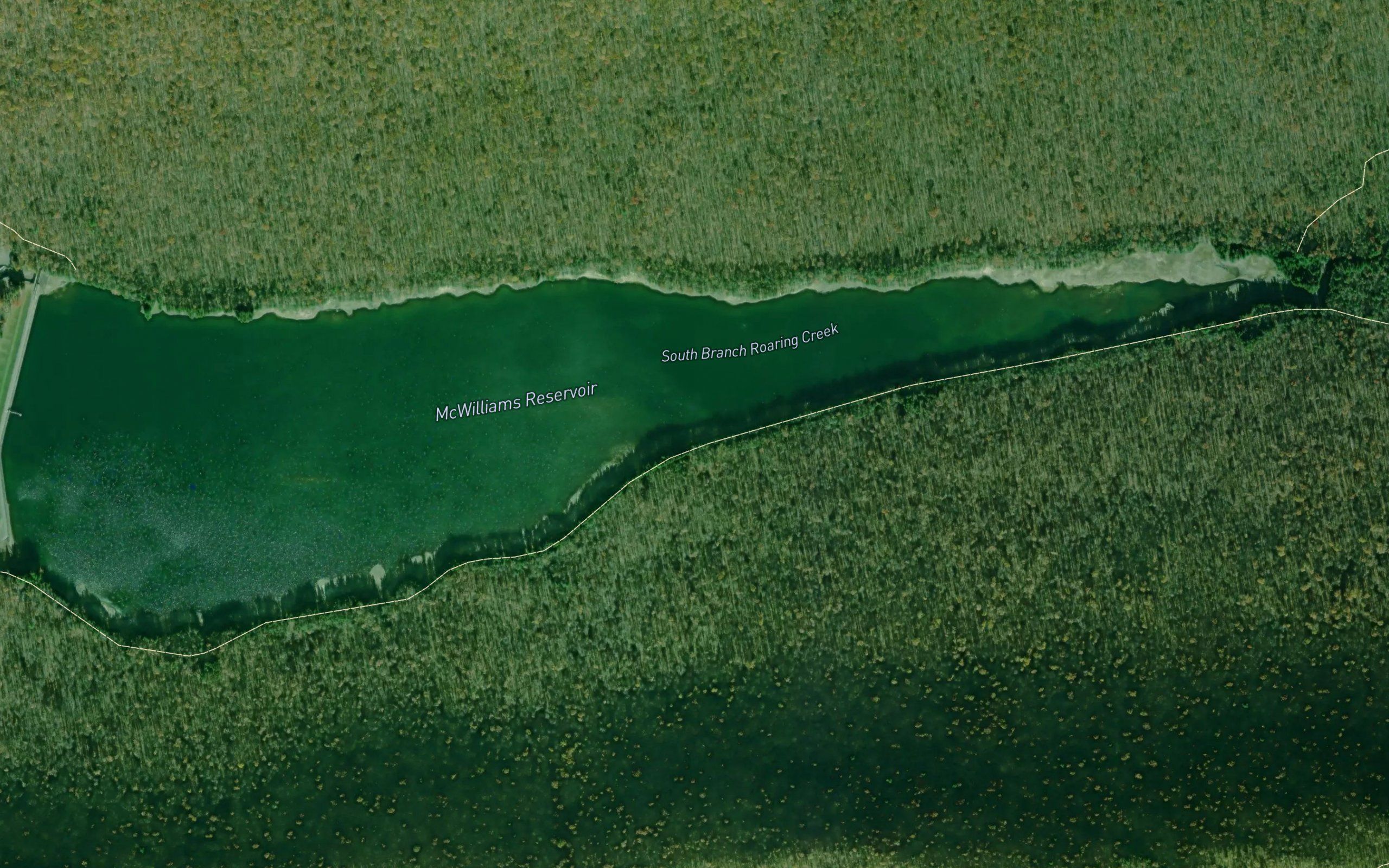 Shamokin Reservoir