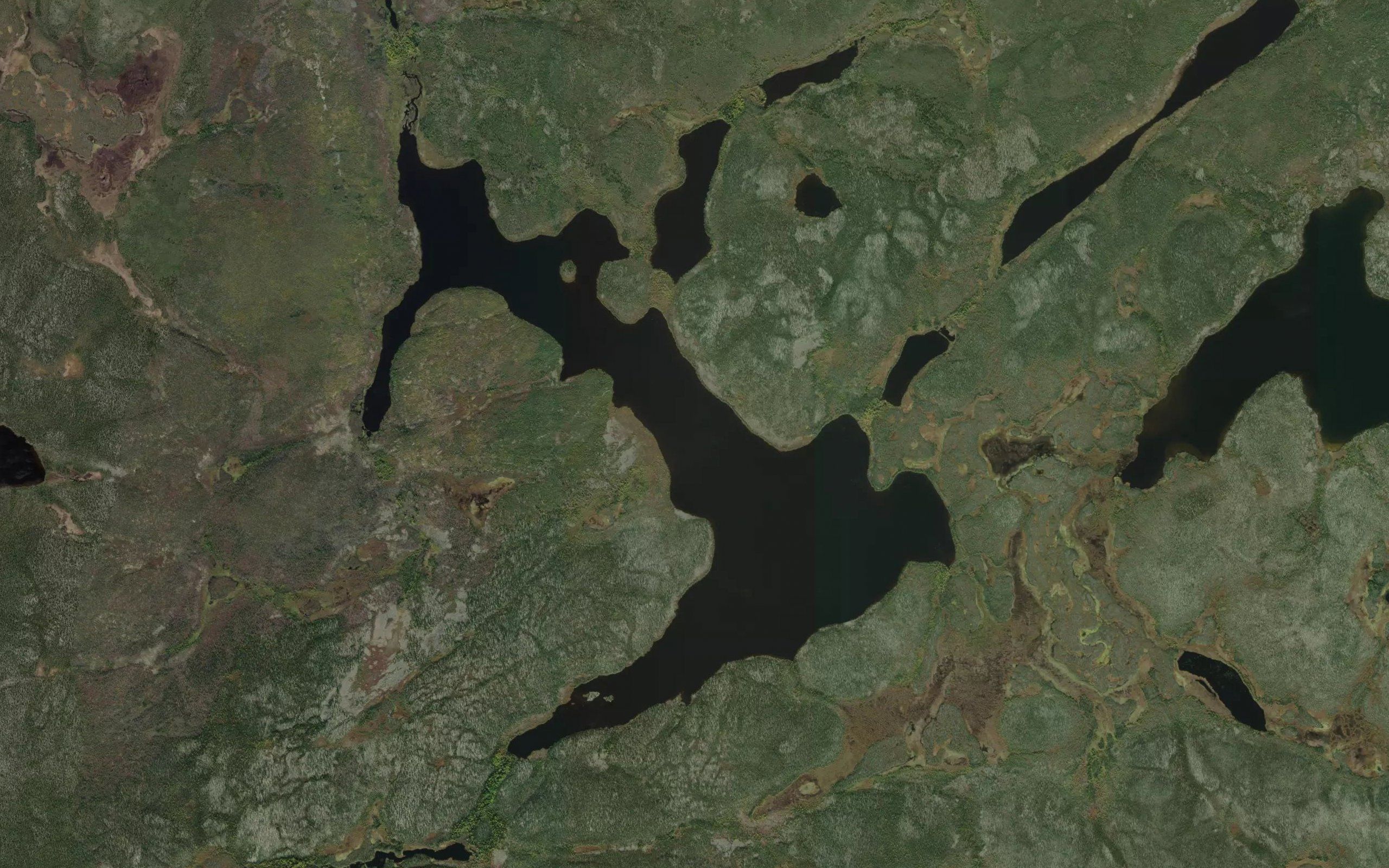 Blaydes Lake