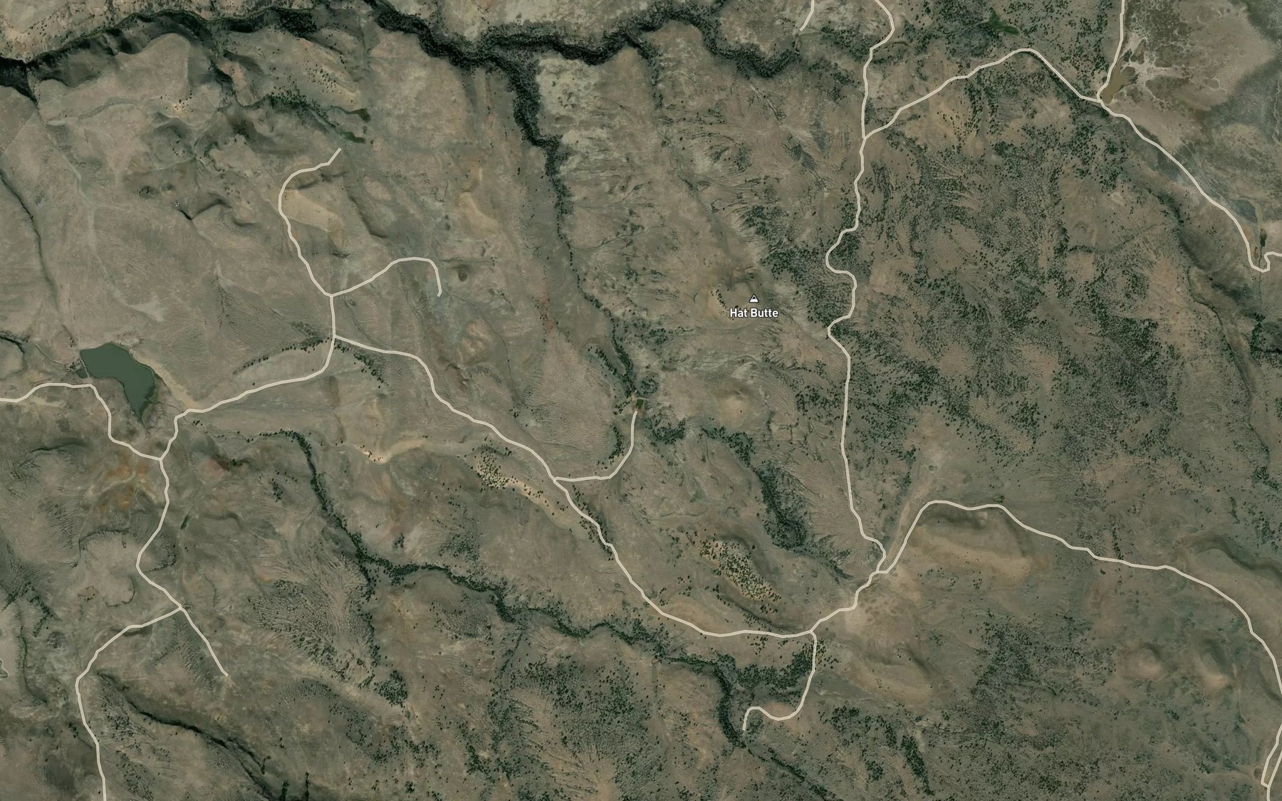 Satellite map of the Newts Waterhole