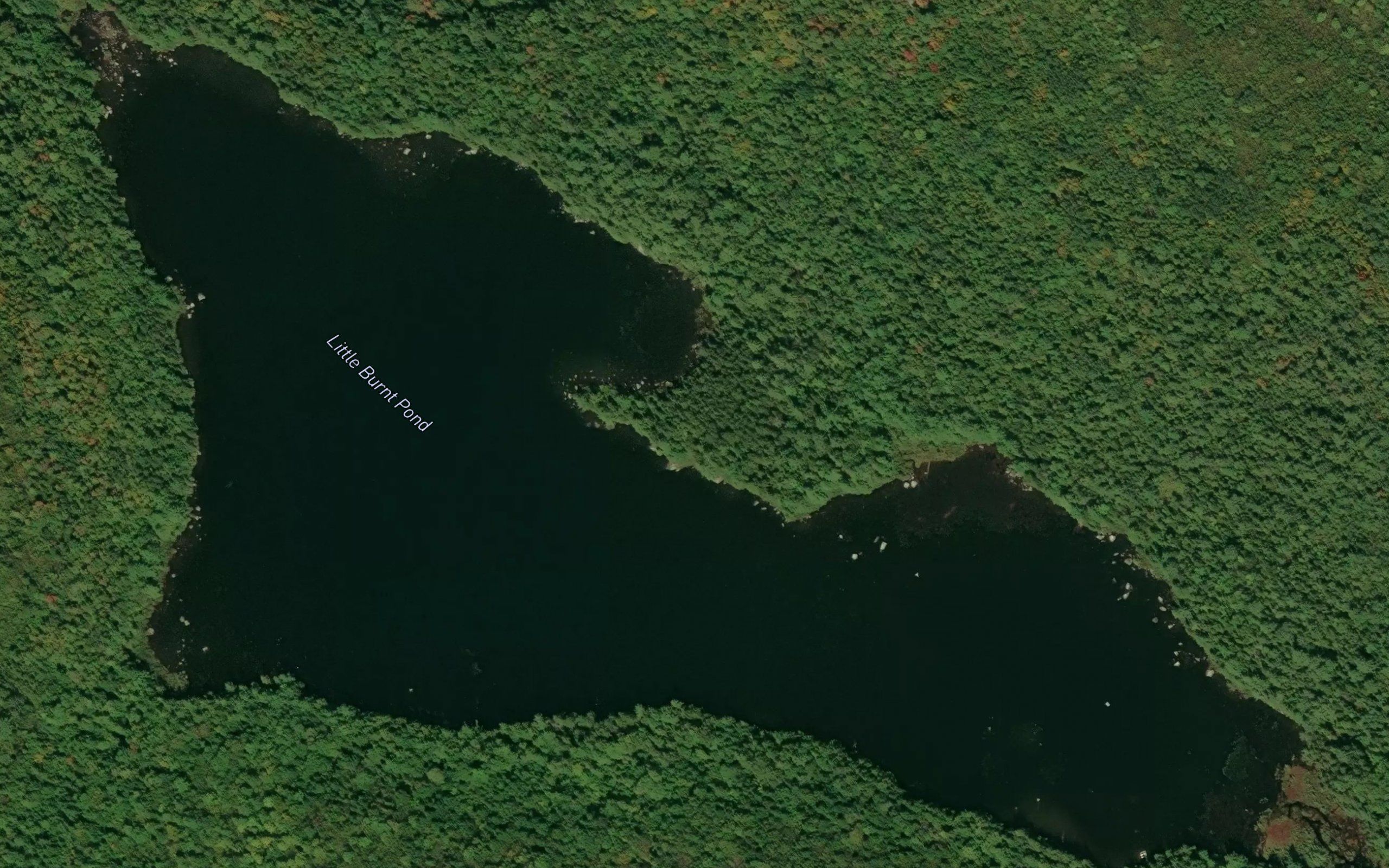 Little Burnt Pond